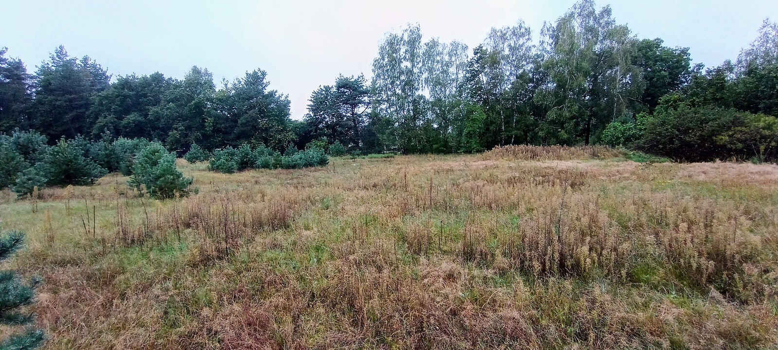 Zdjęcie nieruchomości