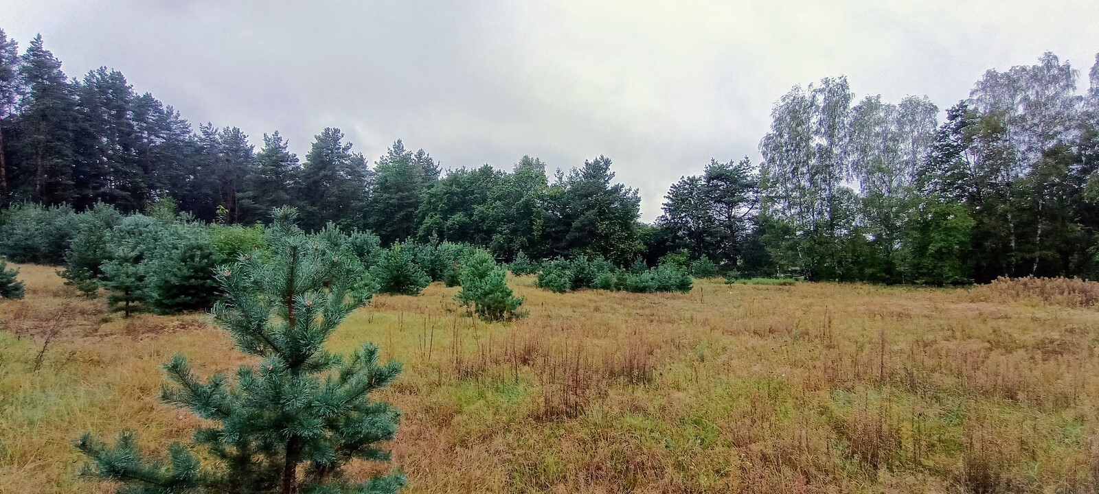 Zdjęcie nieruchomości