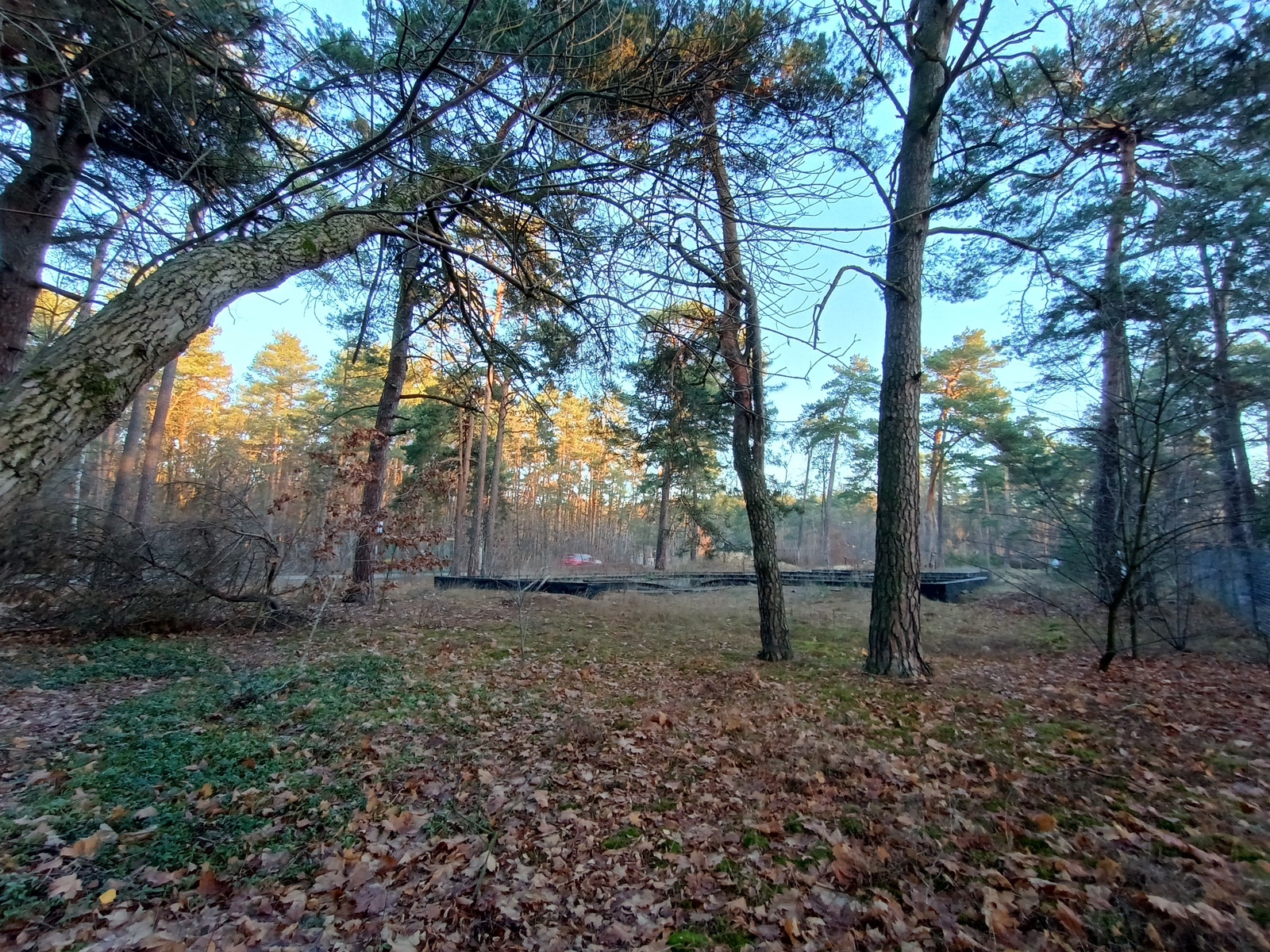 Zdjęcie nieruchomości