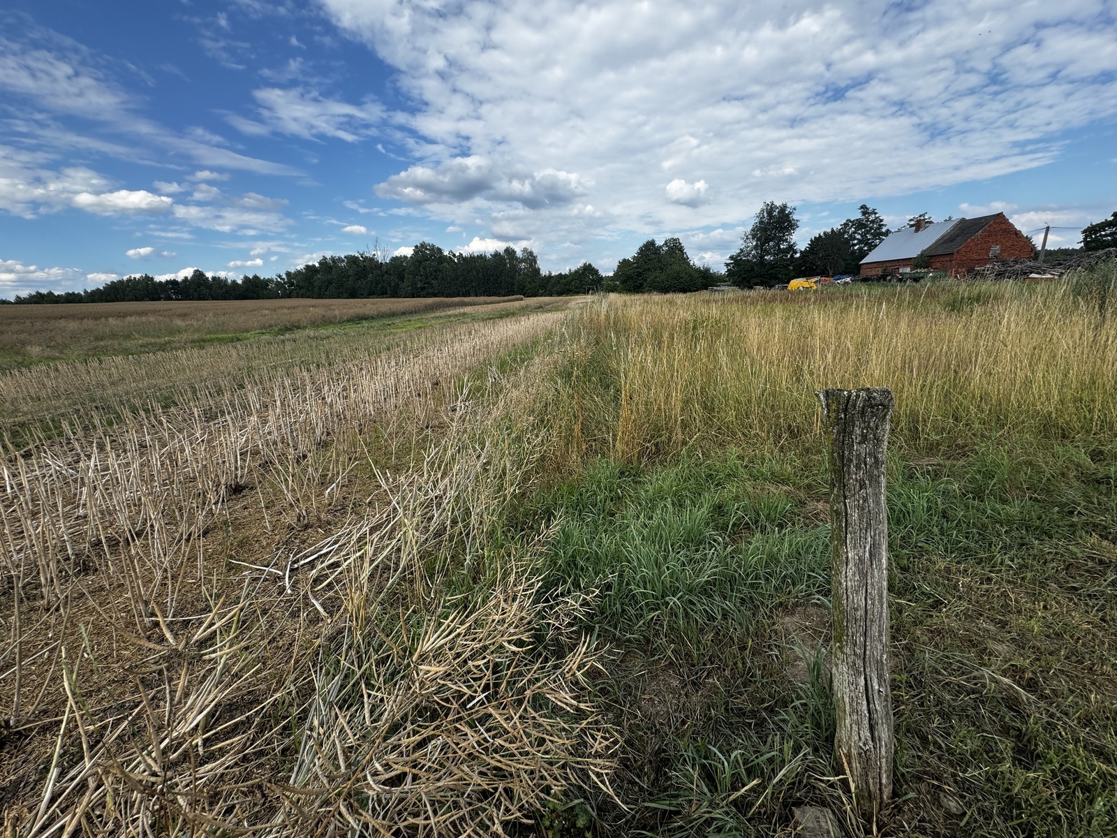 Zdjęcie nieruchomości
