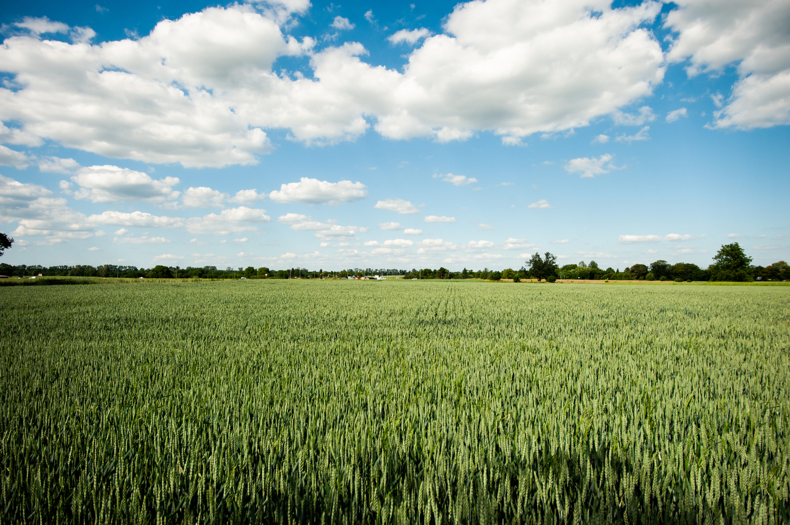 Zdjęcie nieruchomości