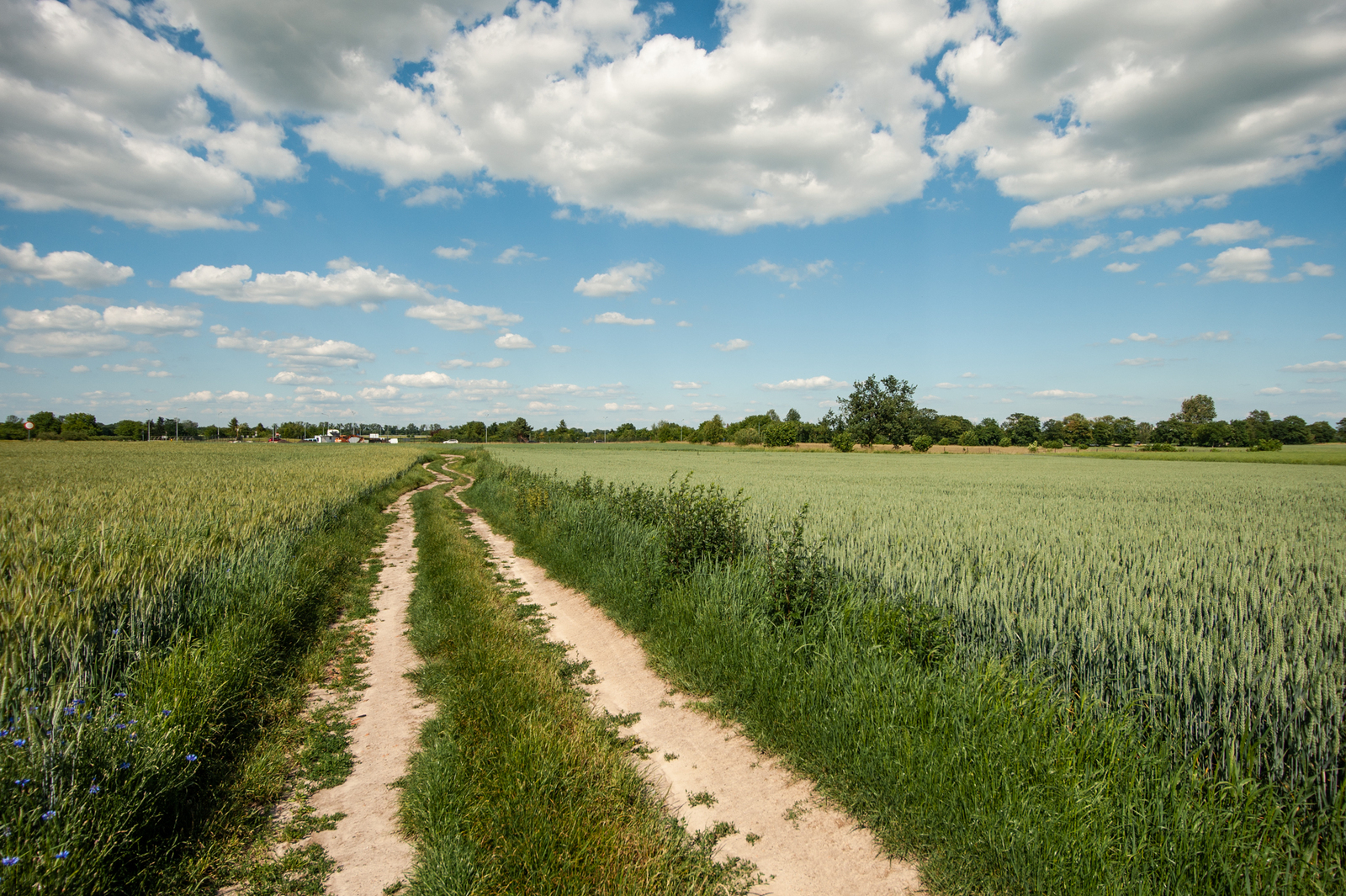 Zdjęcie nieruchomości