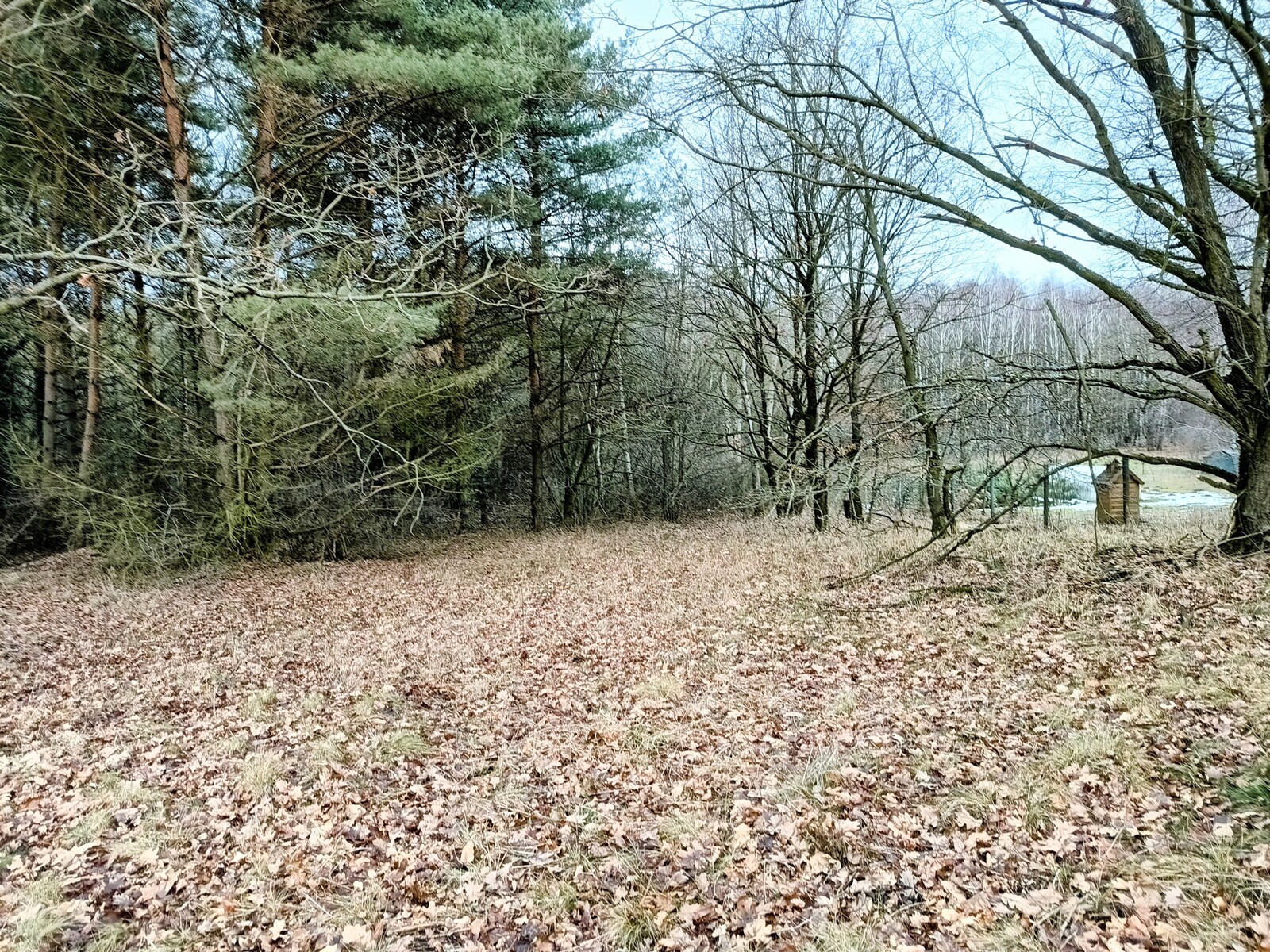 Zdjęcie nieruchomości