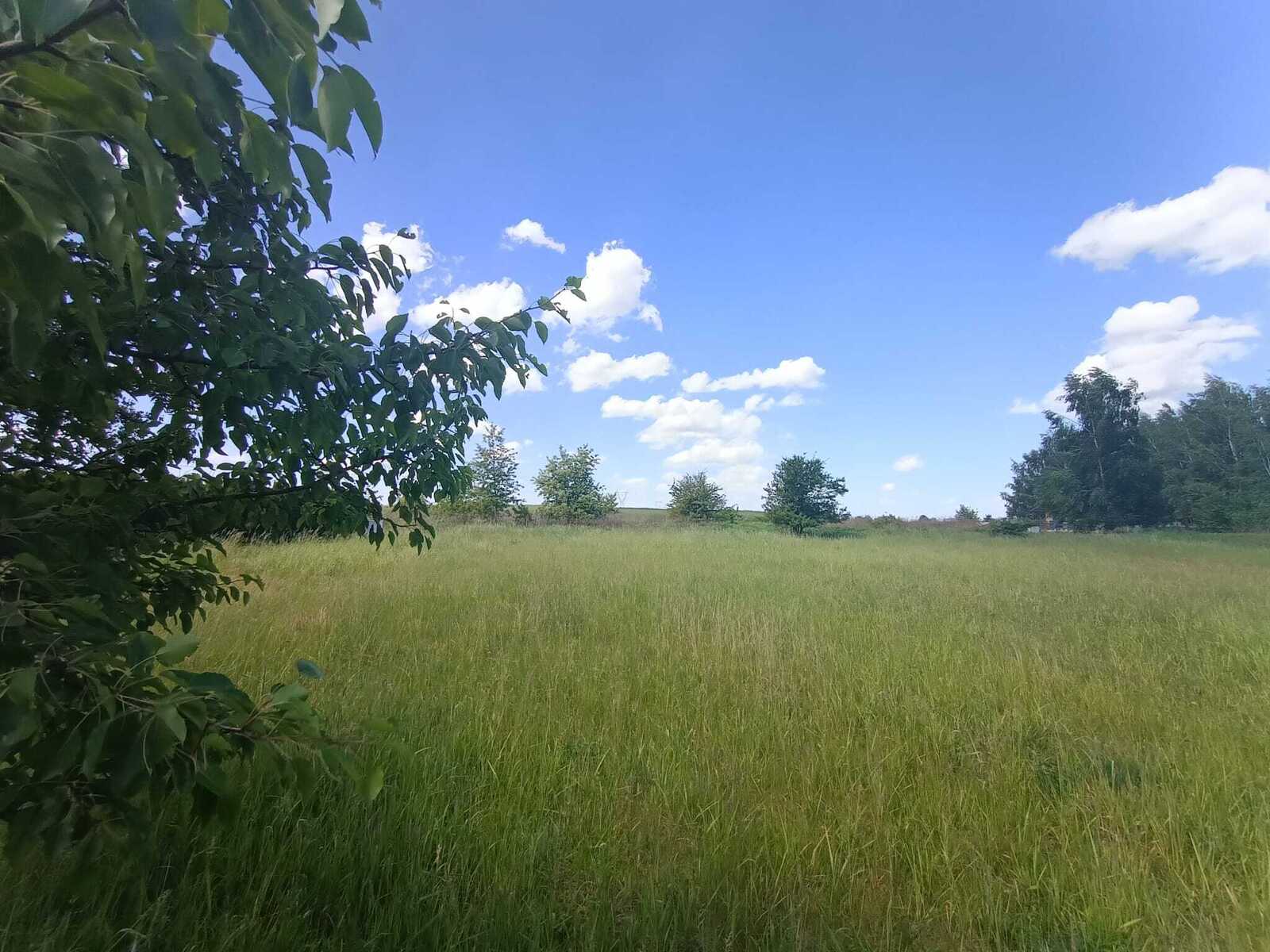 Zdjęcie nieruchomości