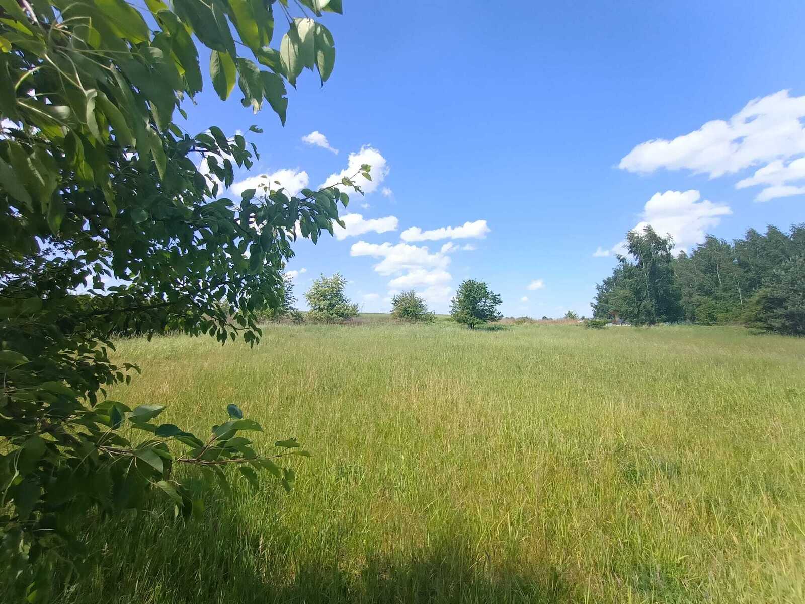 Zdjęcie nieruchomości