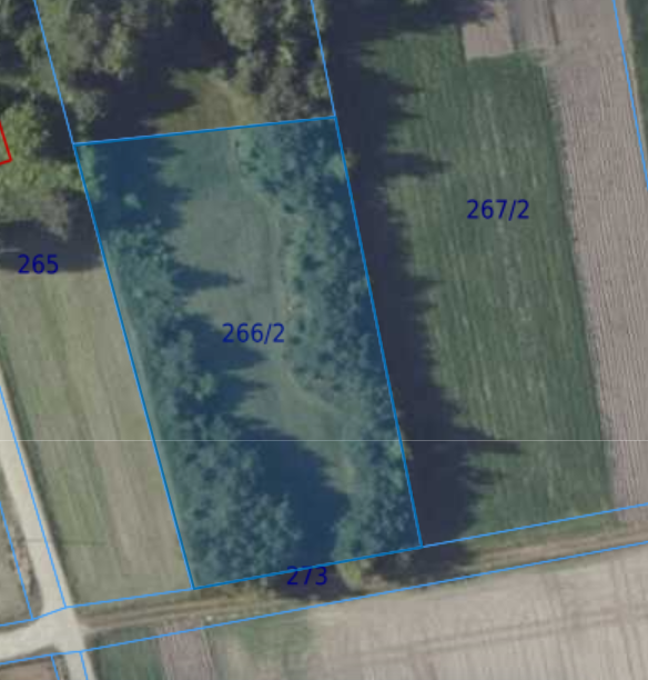 Zdjęcie nieruchomości