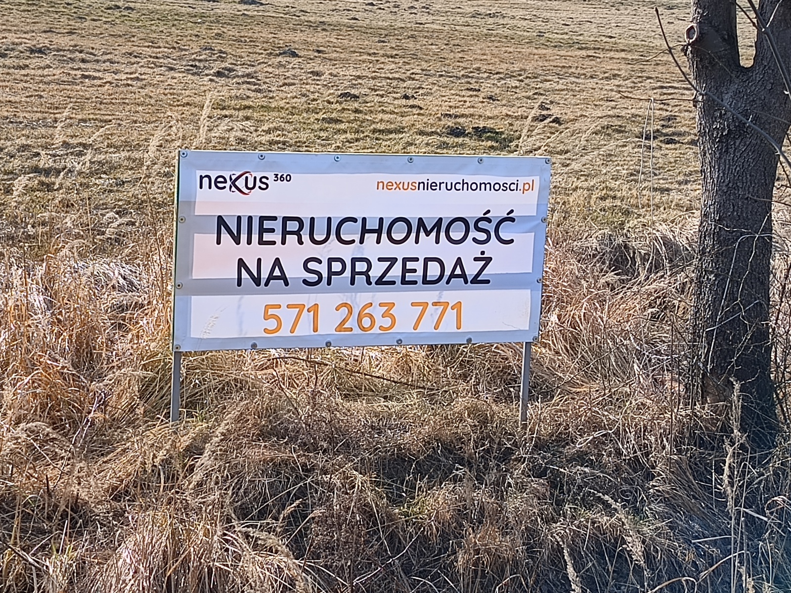 Zdjęcie nieruchomości