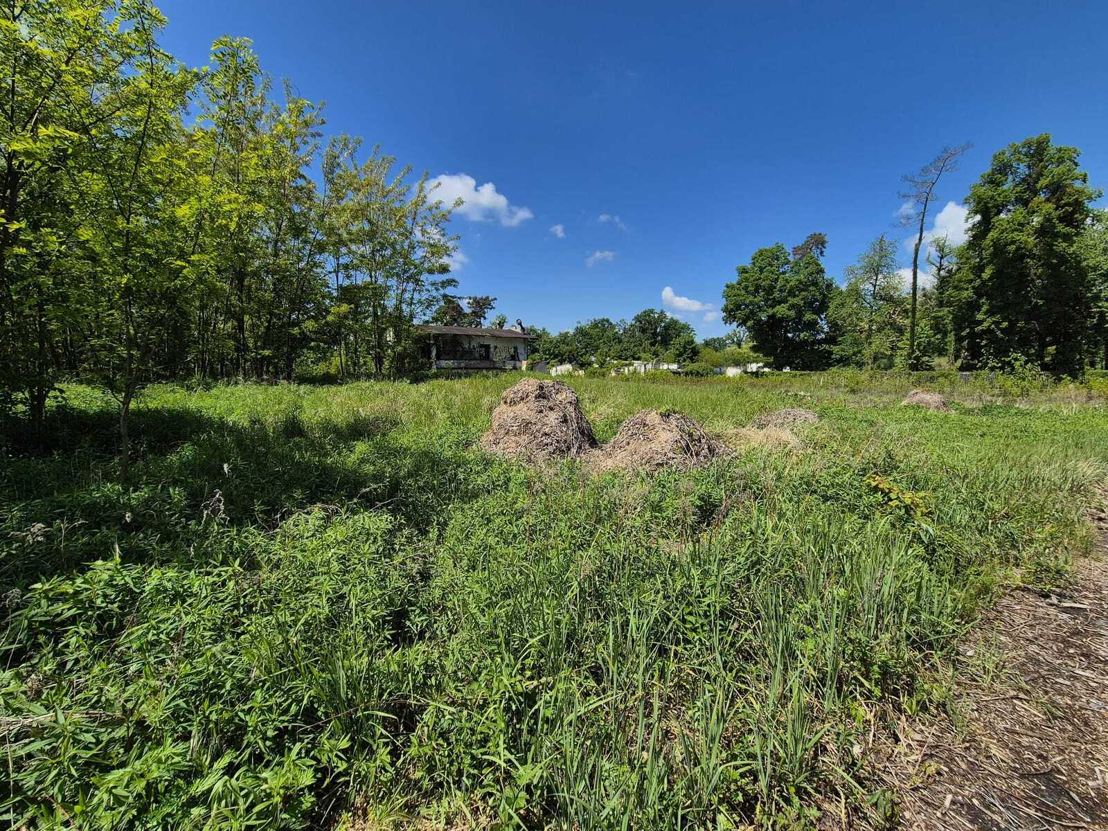 Zdjęcie nieruchomości