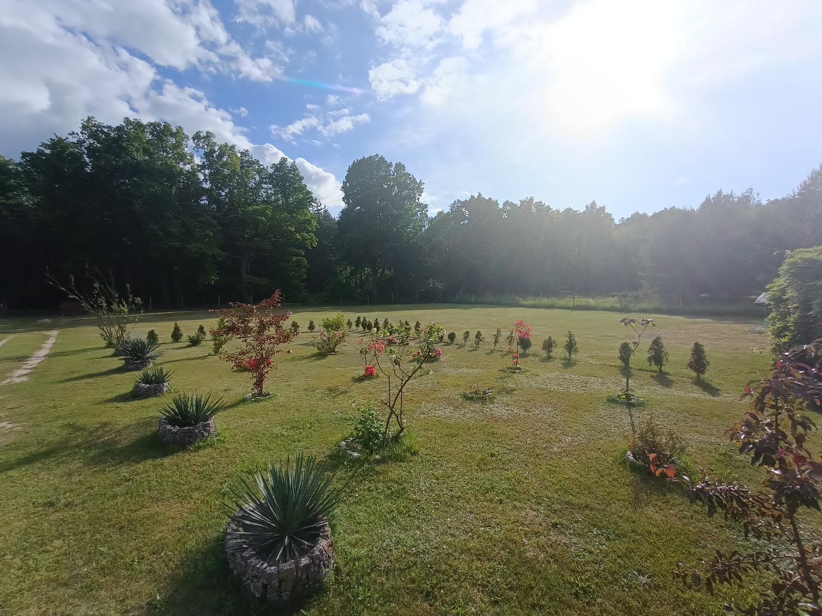 Zdjęcie nieruchomości