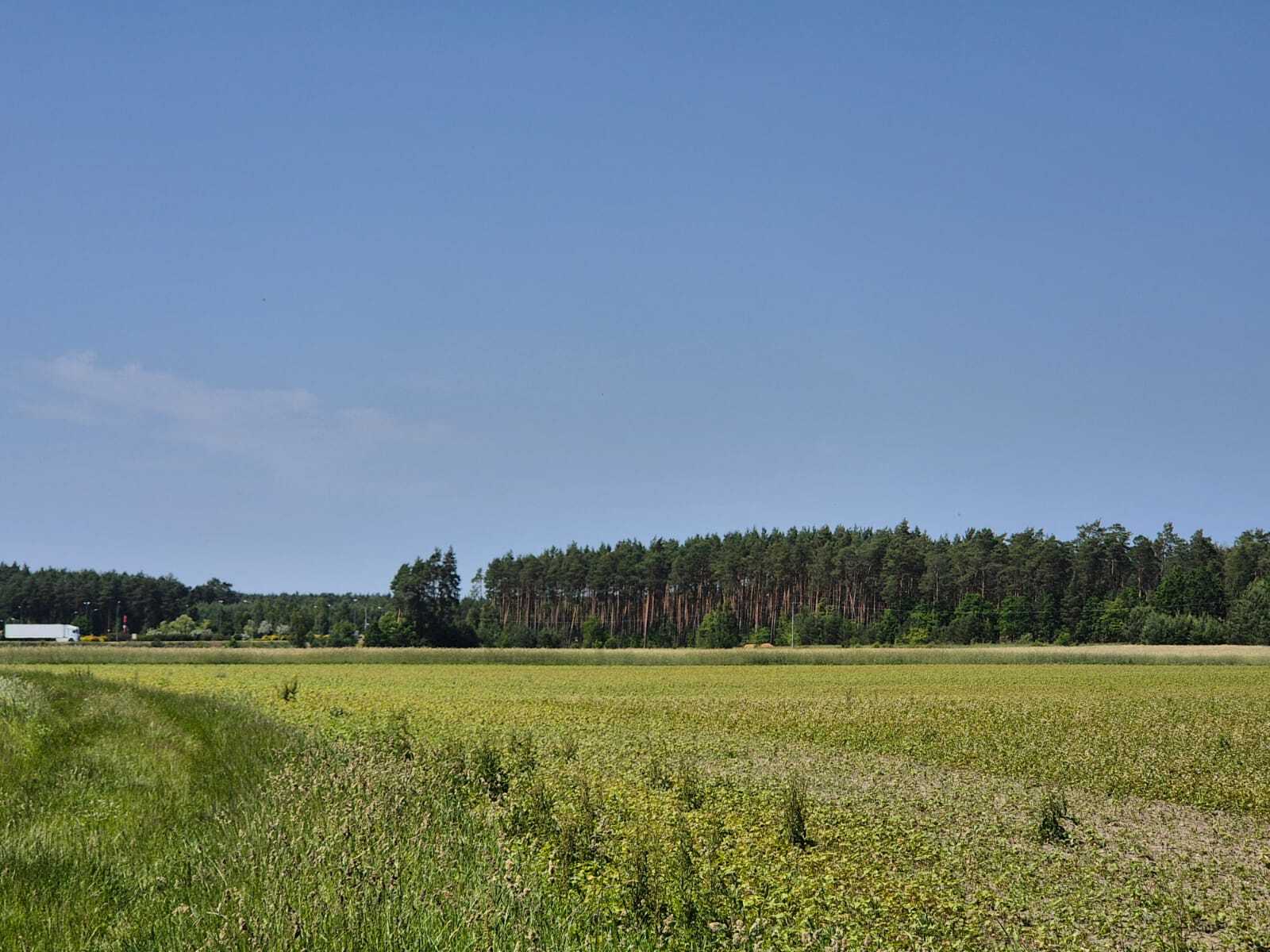 Zdjęcie nieruchomości