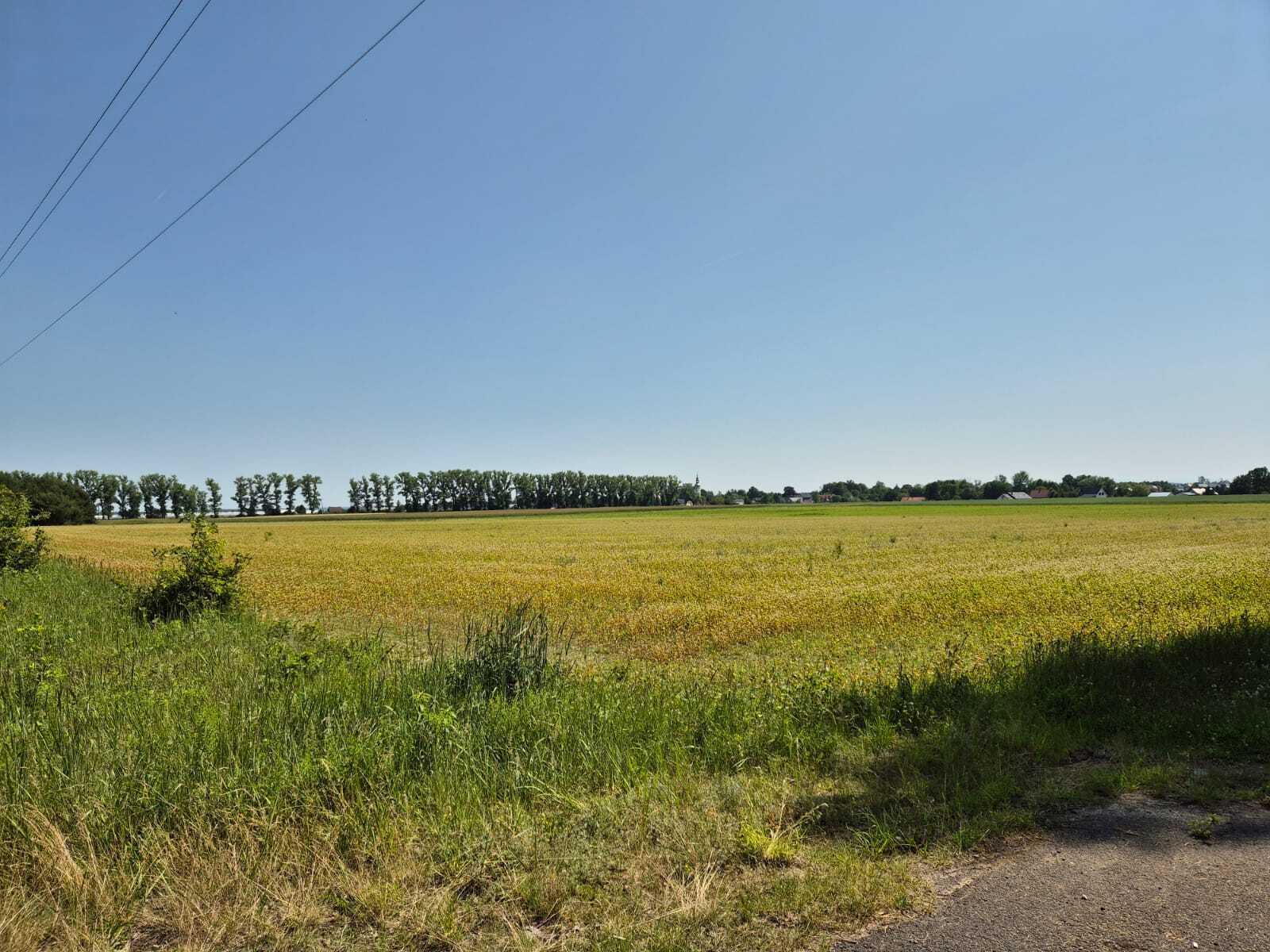 Zdjęcie nieruchomości