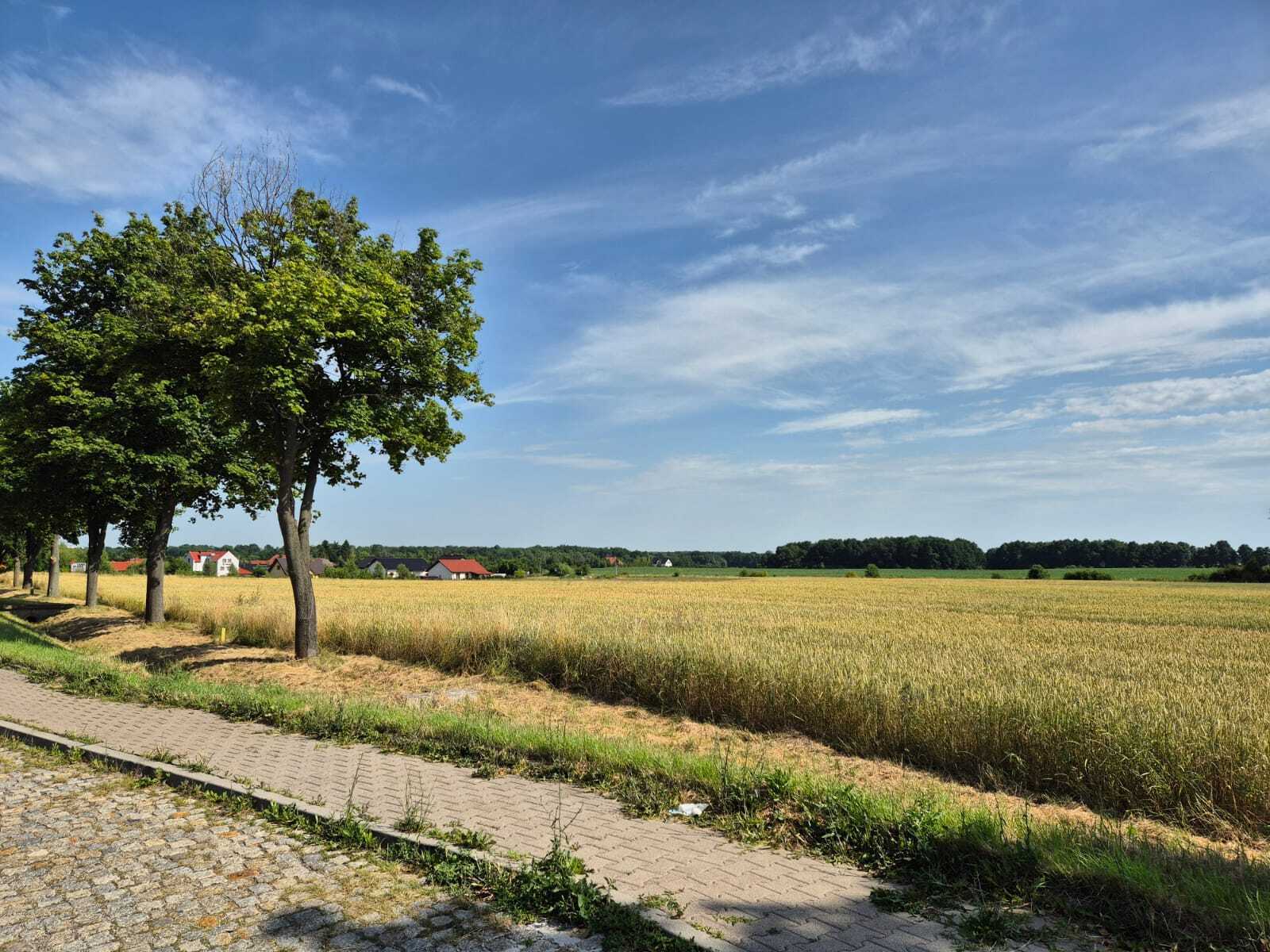 Zdjęcie nieruchomości