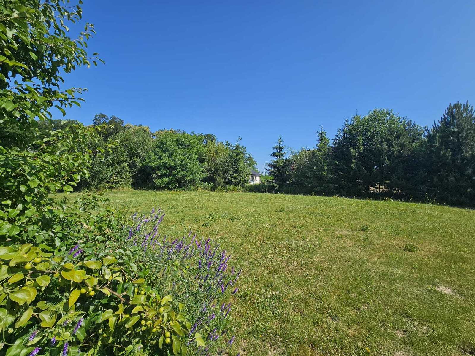 Zdjęcie nieruchomości