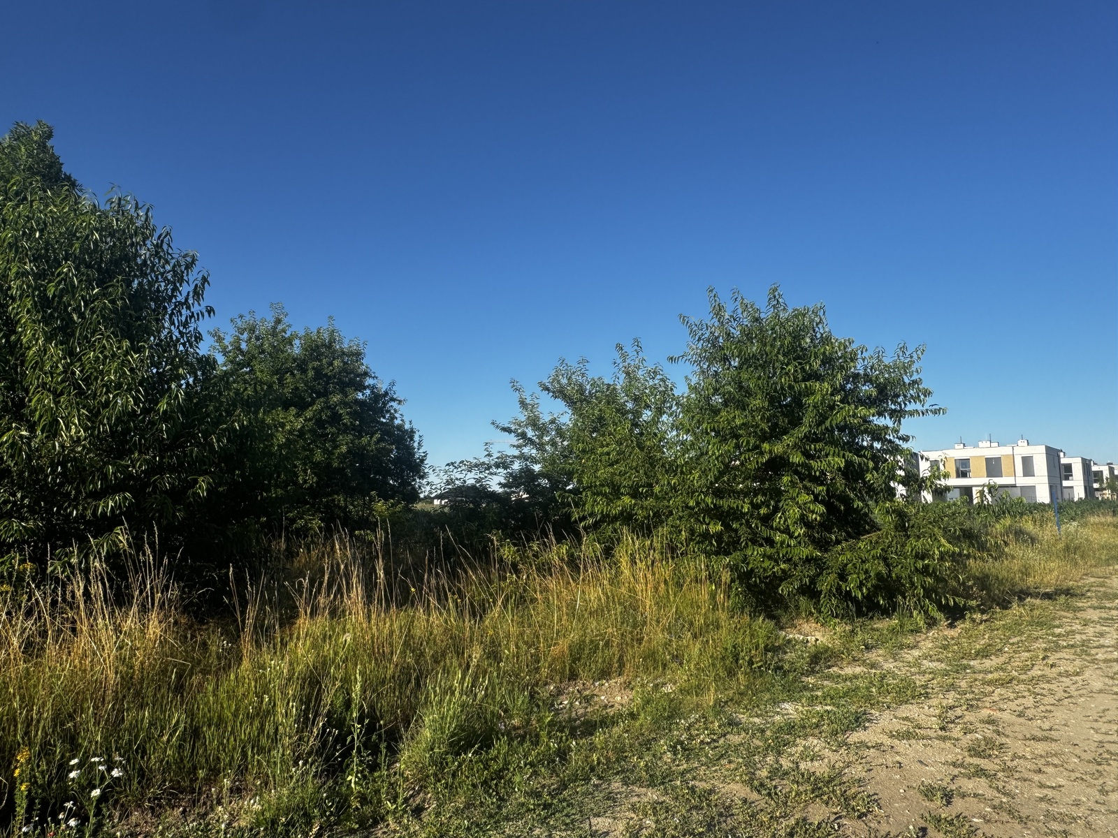 Zdjęcie nieruchomości