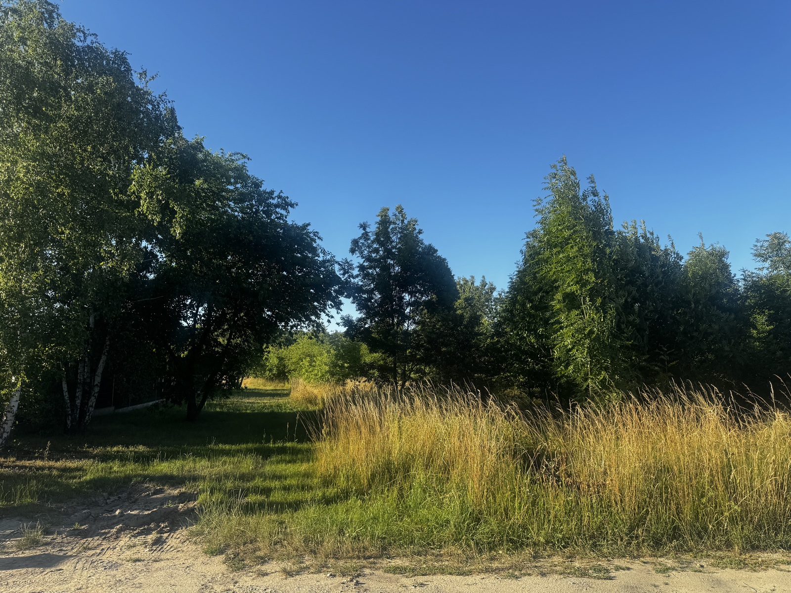 Zdjęcie nieruchomości