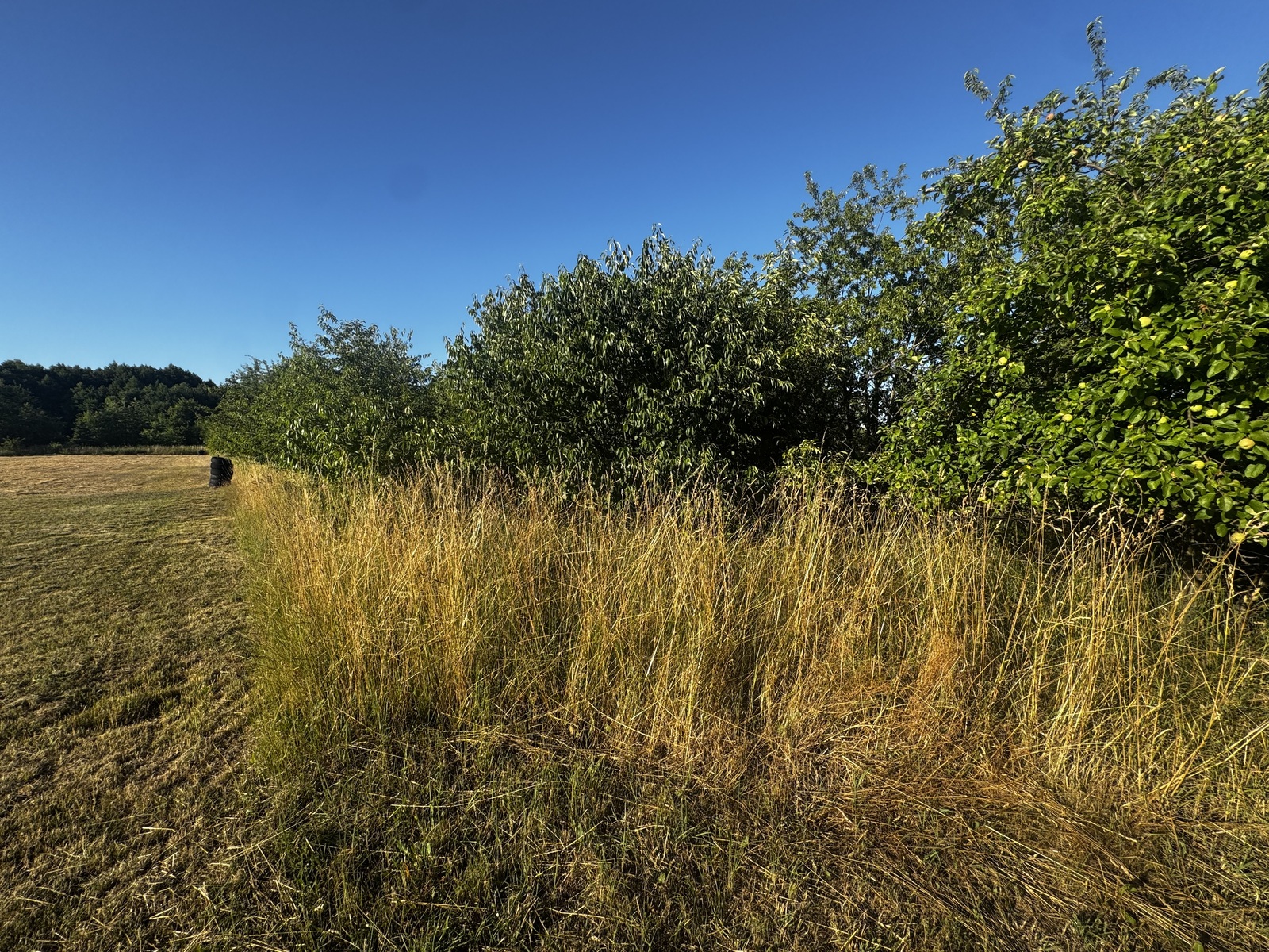 Zdjęcie nieruchomości