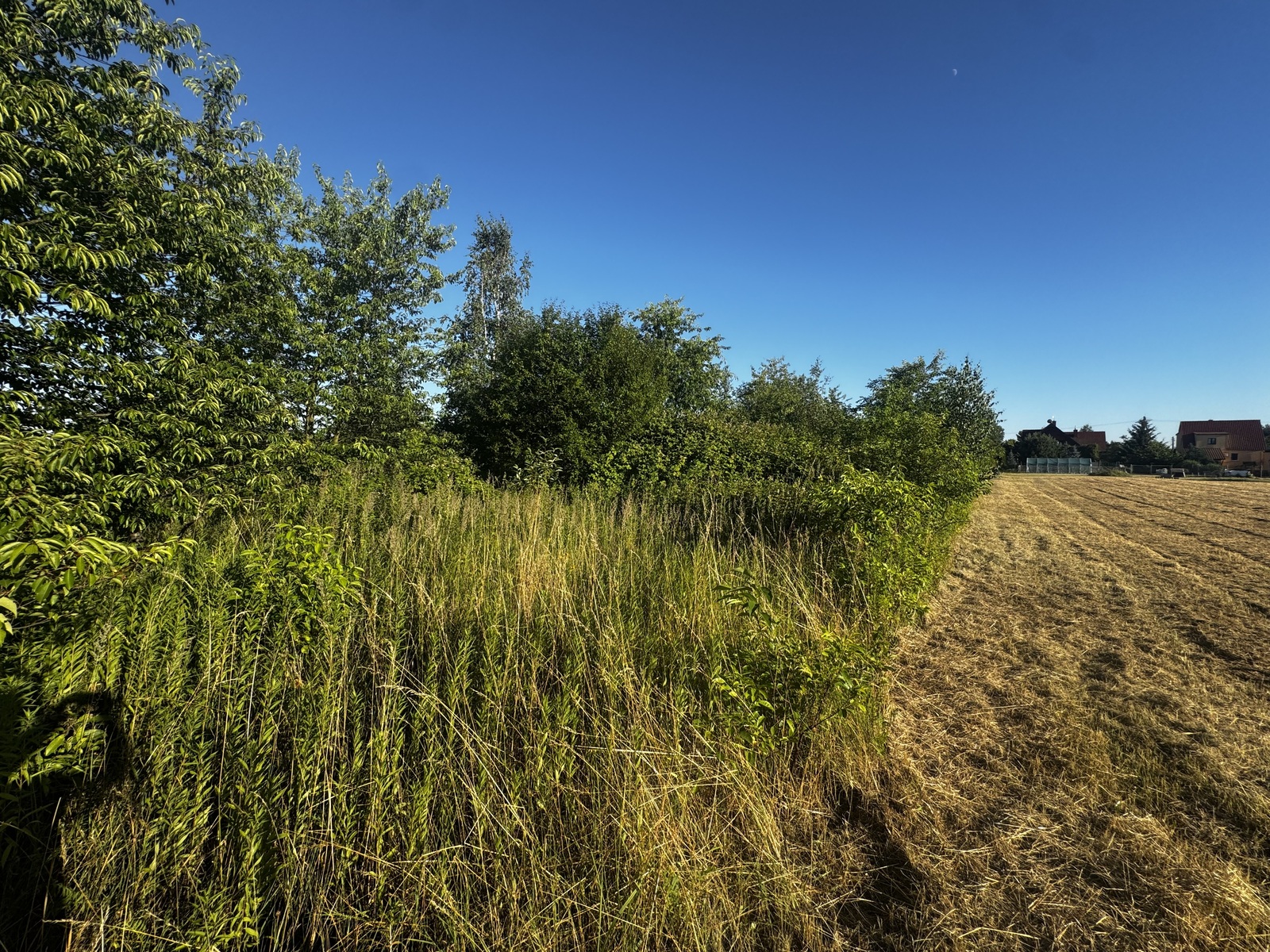 Zdjęcie nieruchomości