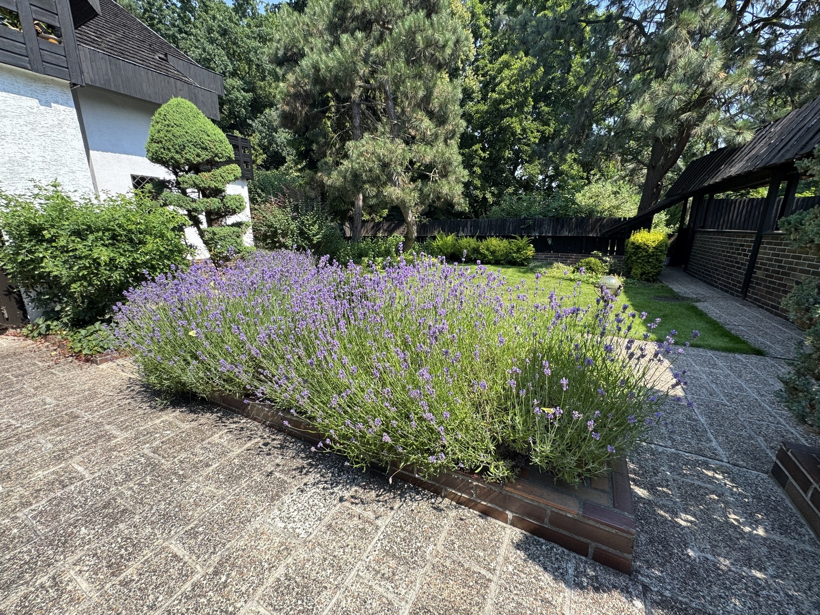 Zdjęcie nieruchomości