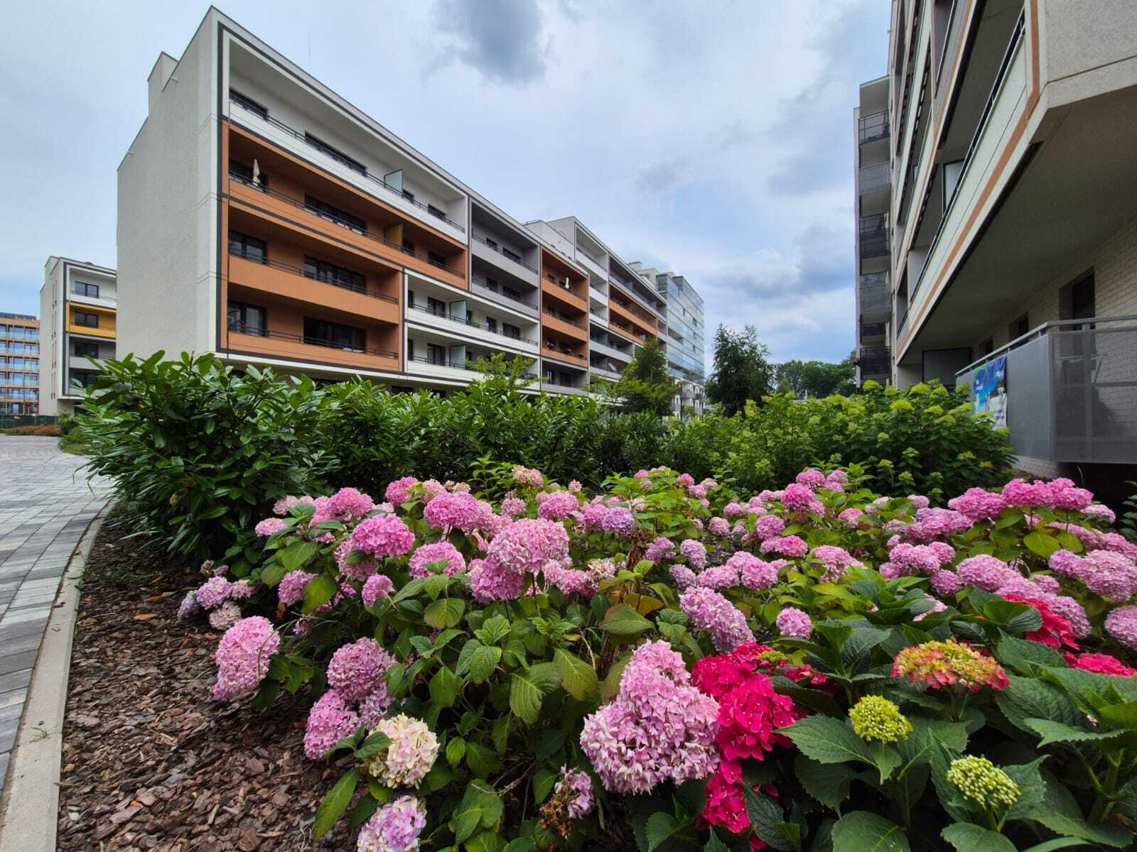 Zdjęcie nieruchomości