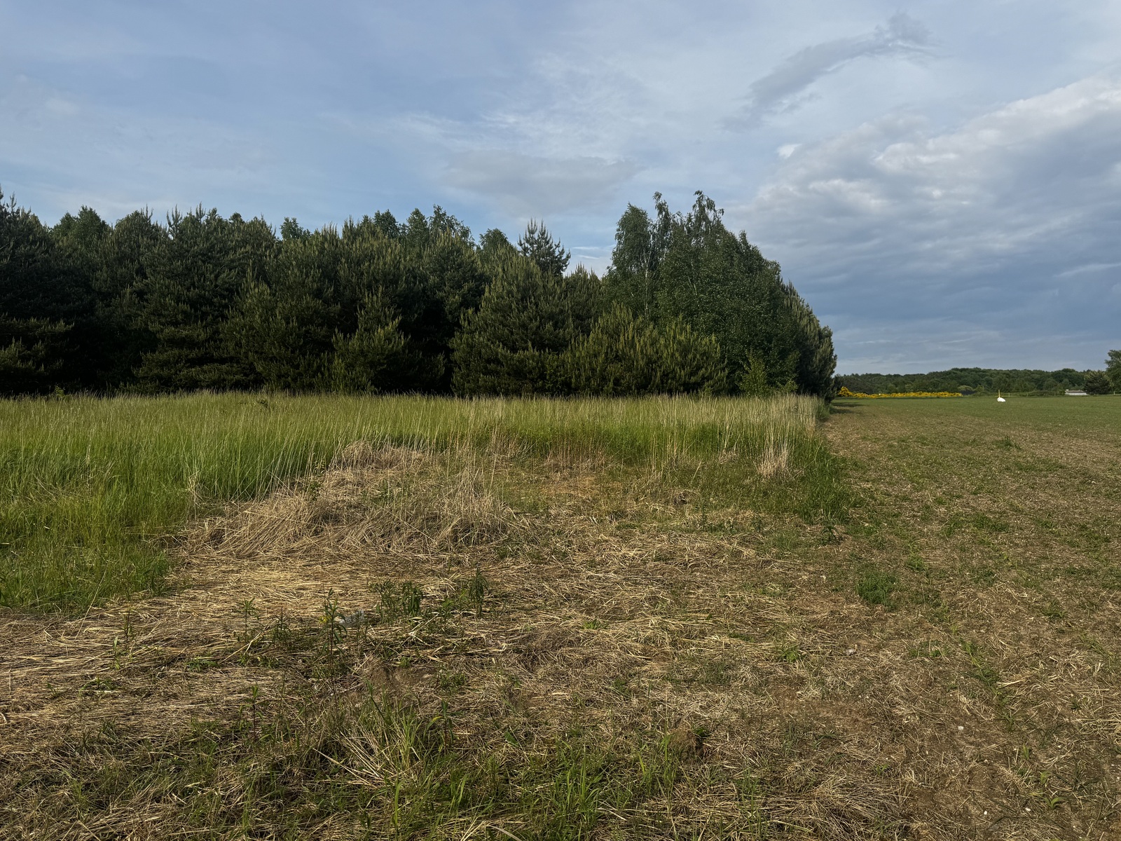 Zdjęcie nieruchomości