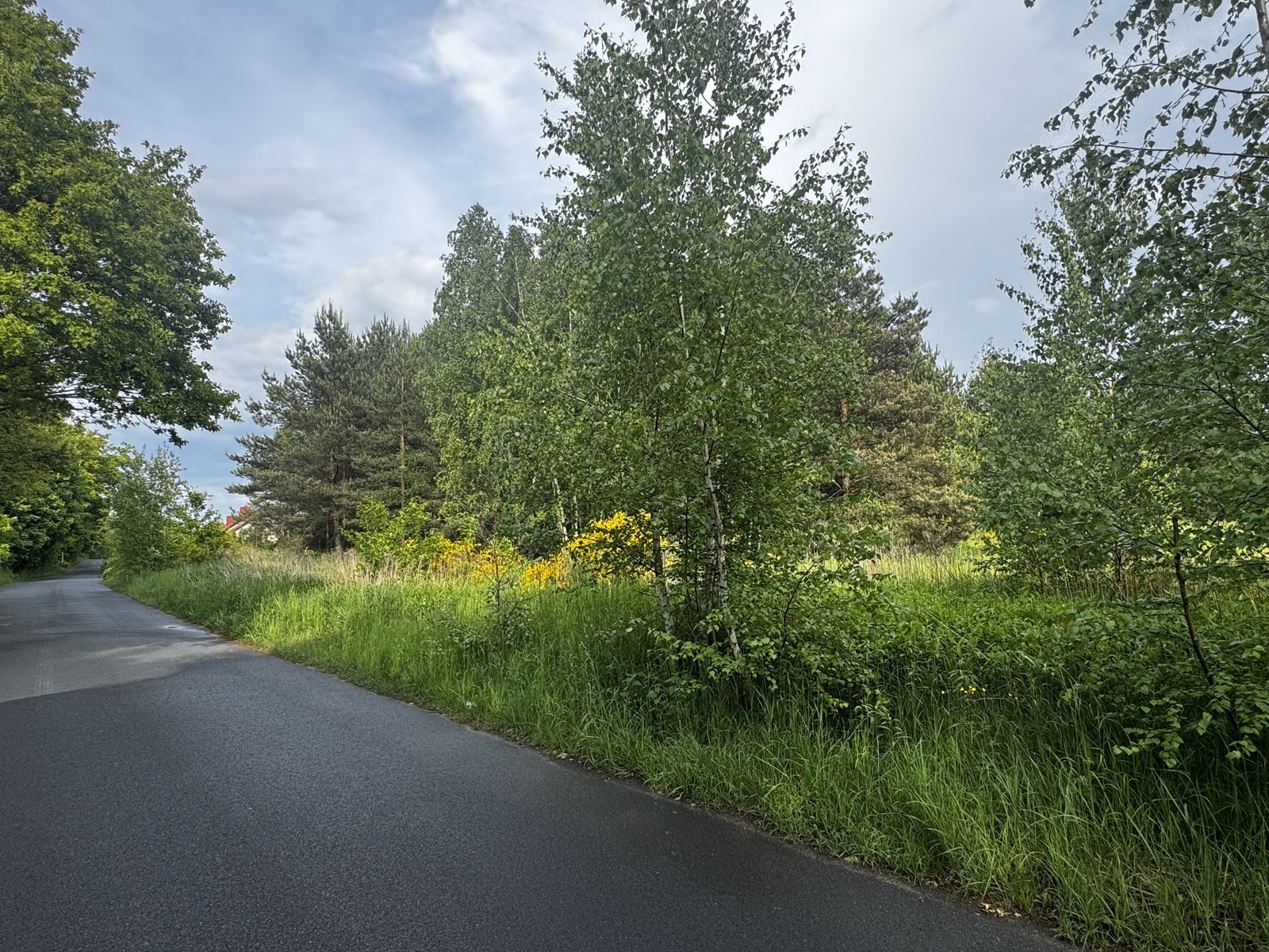 Zdjęcie nieruchomości