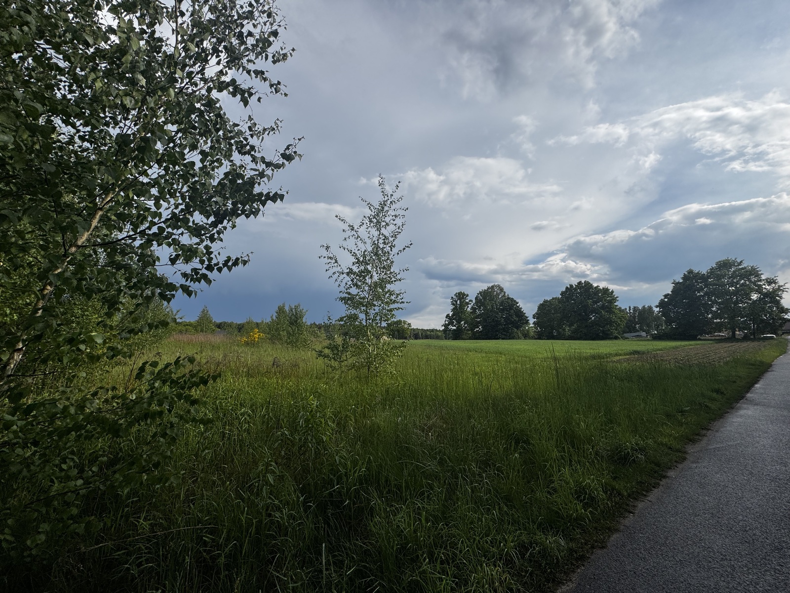 Zdjęcie nieruchomości