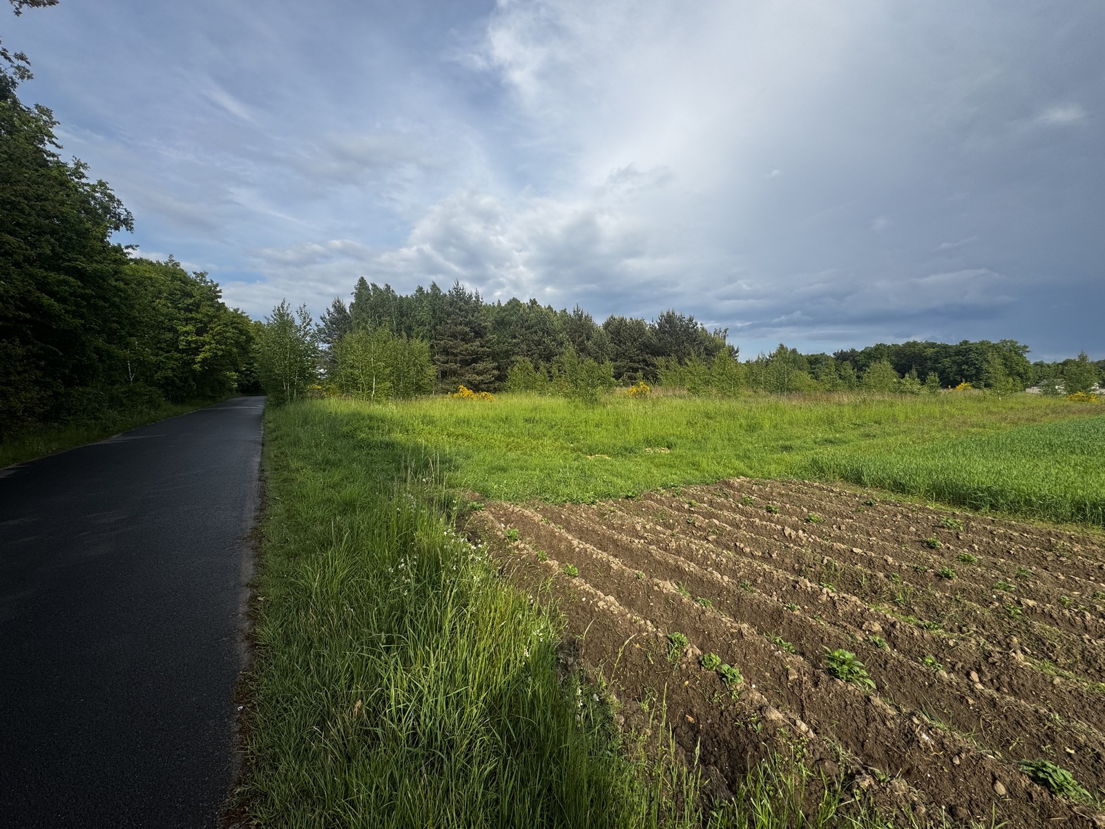 Zdjęcie nieruchomości