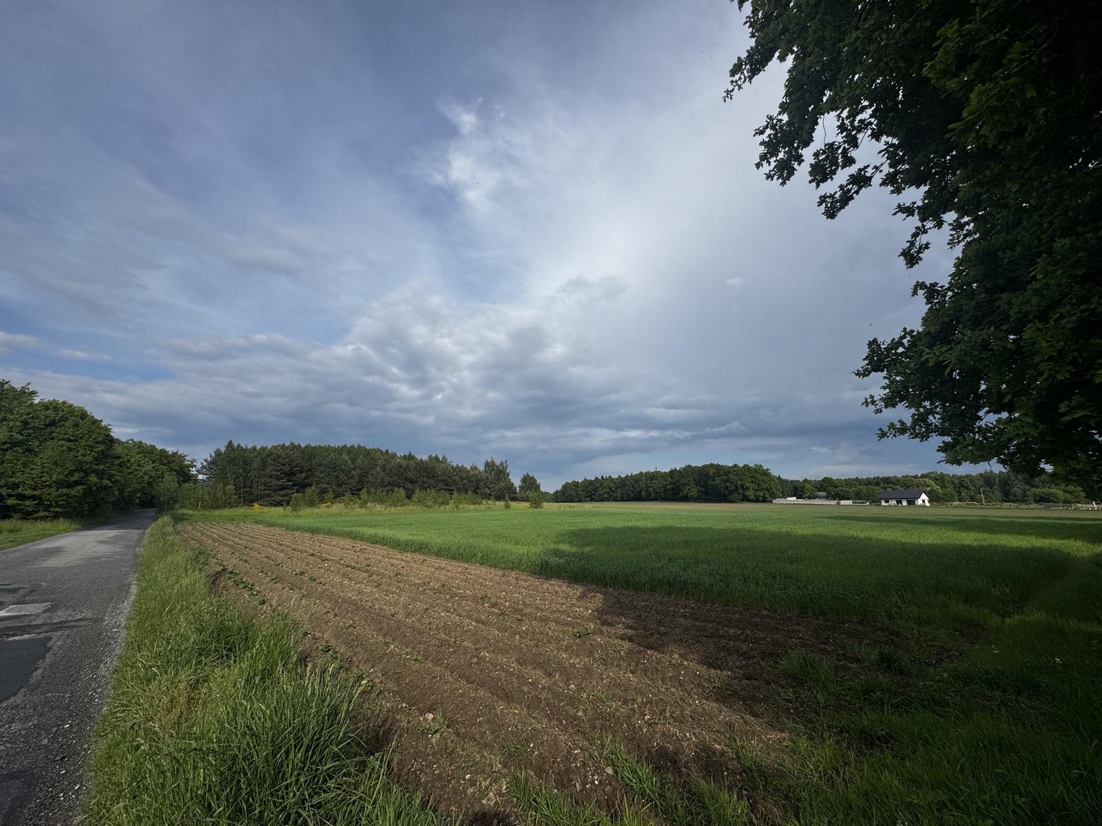 Zdjęcie nieruchomości