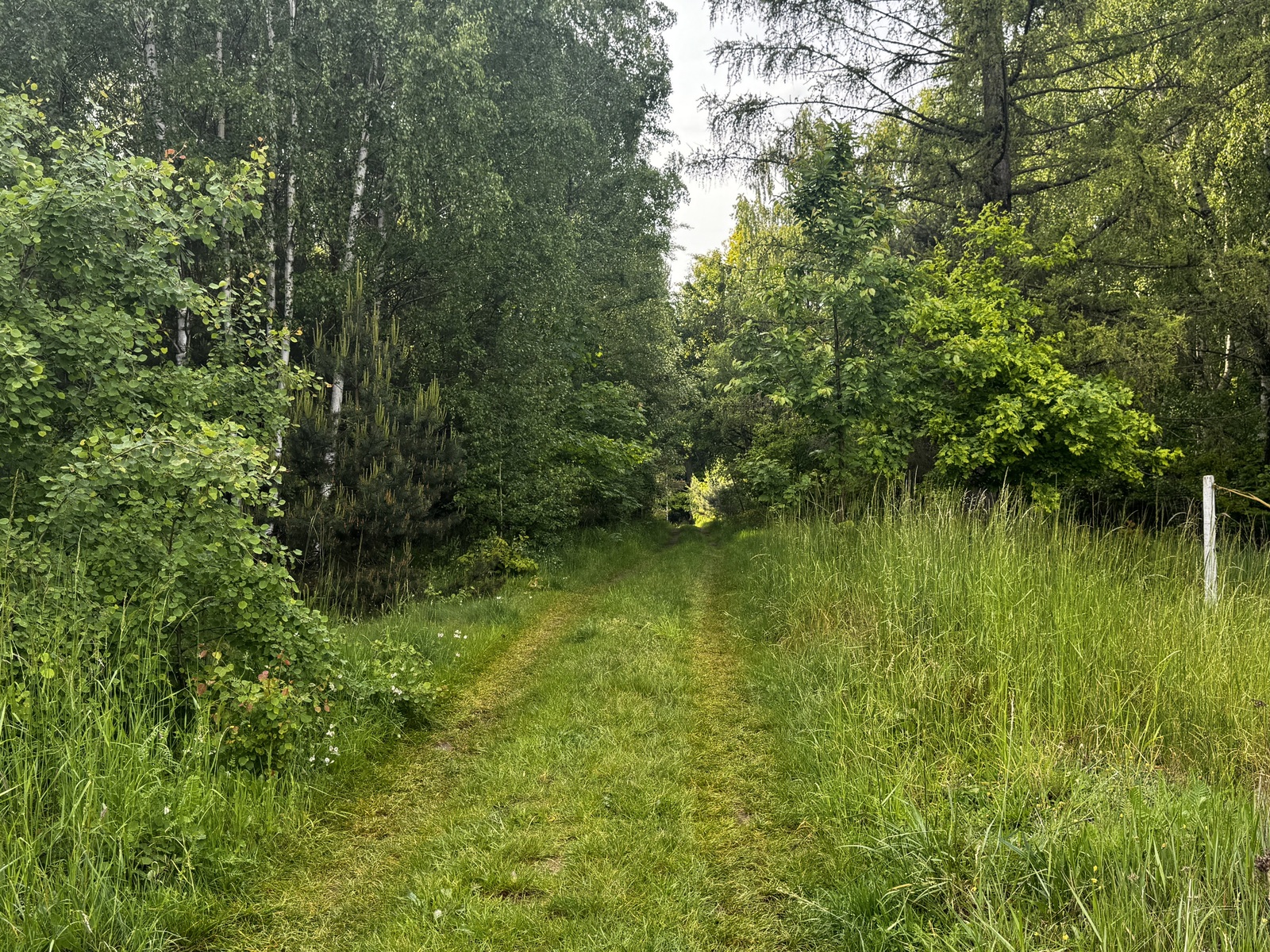 Zdjęcie nieruchomości