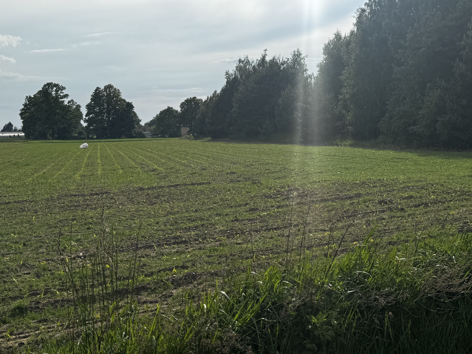 Zdjęcie nieruchomości