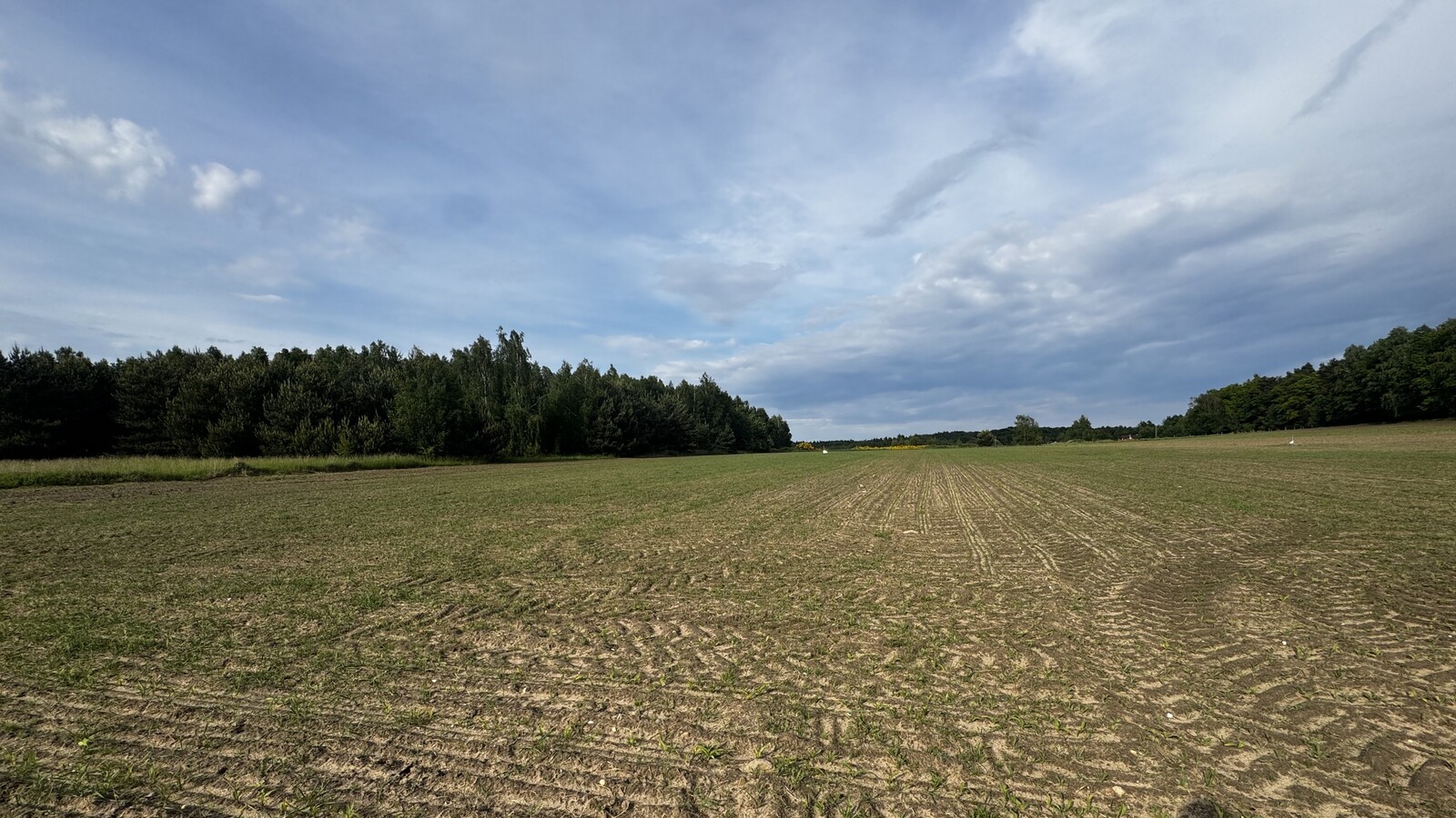 Zdjęcie nieruchomości