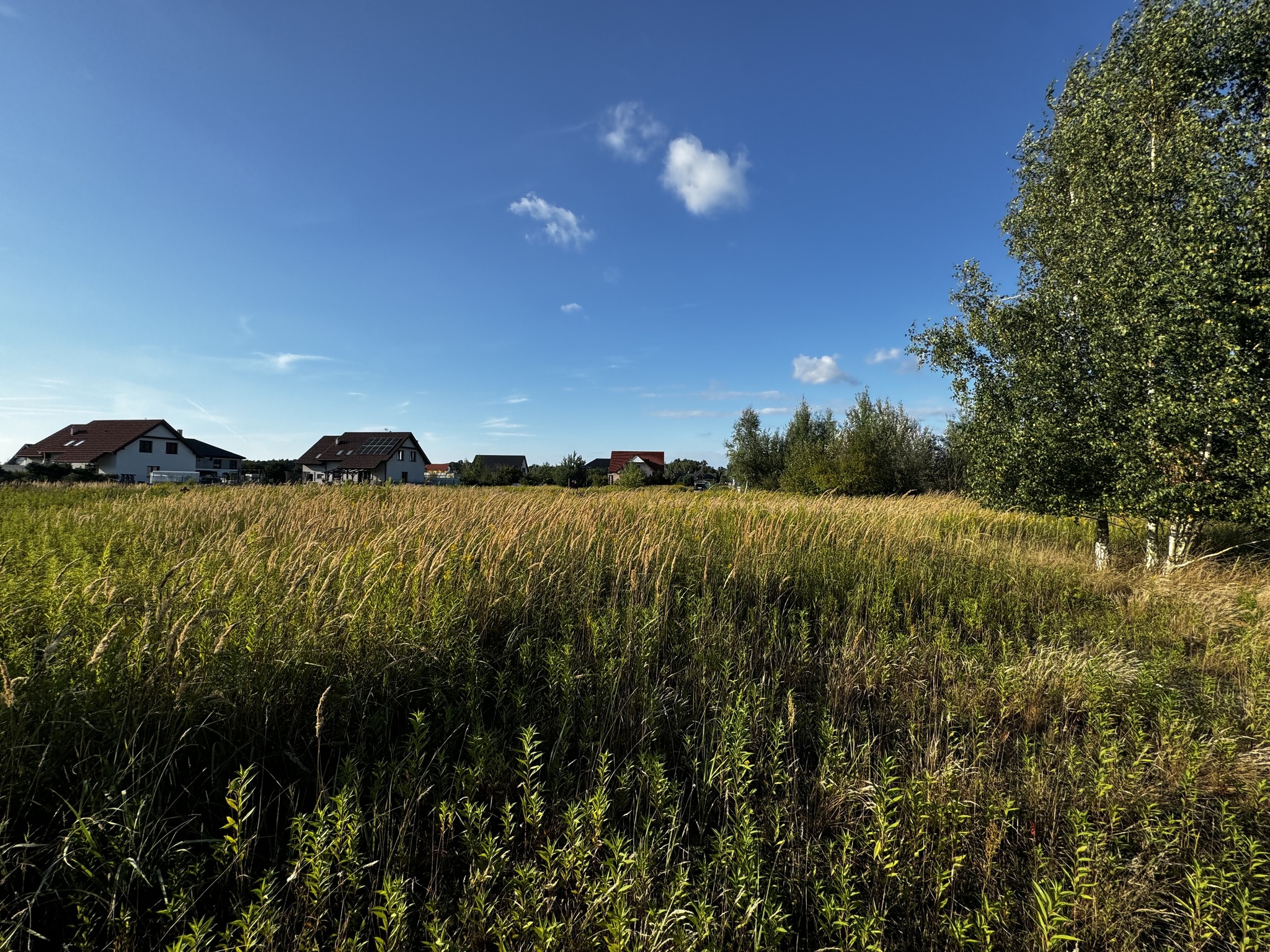 Zdjęcie nieruchomości