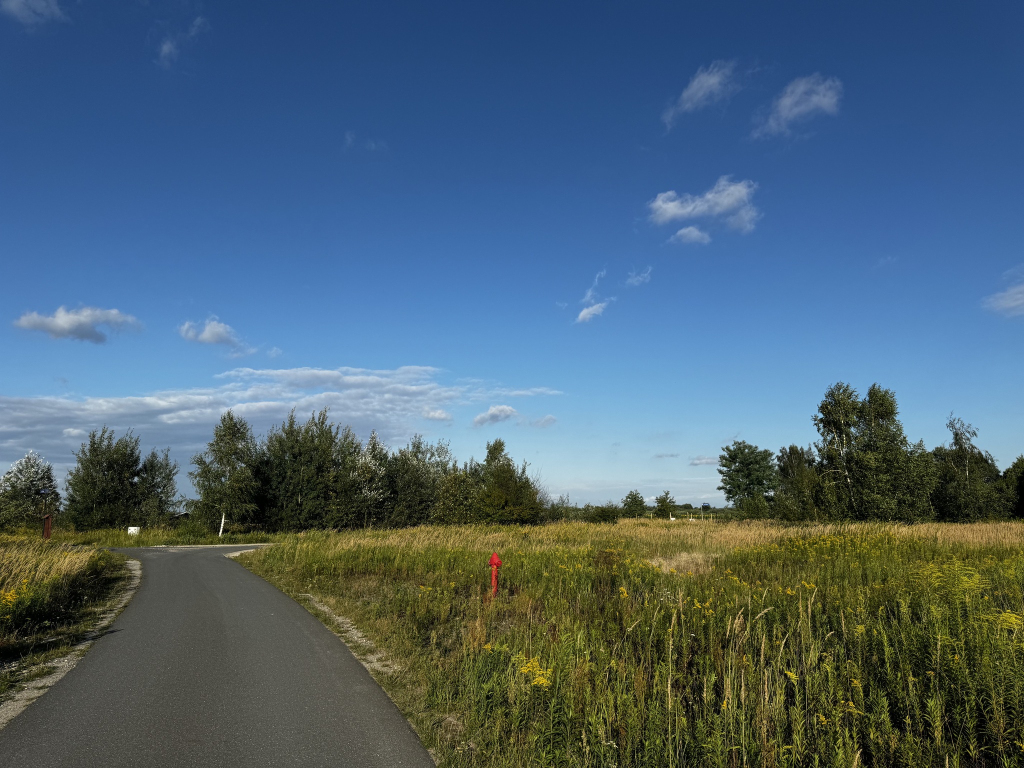 Zdjęcie nieruchomości