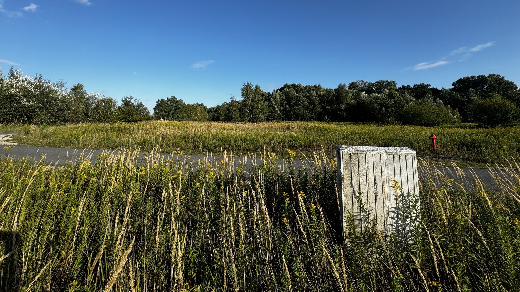 Zdjęcie nieruchomości