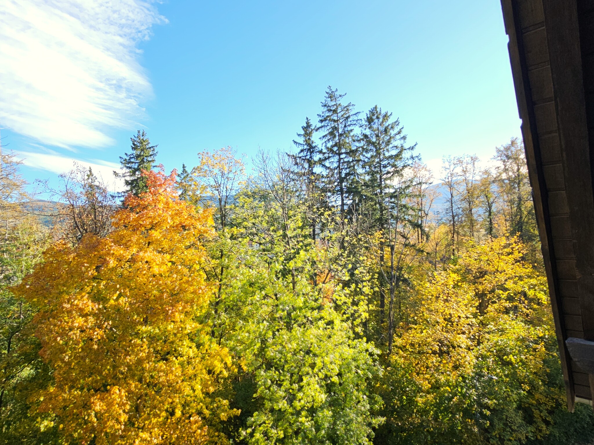 Zdjęcie nieruchomości