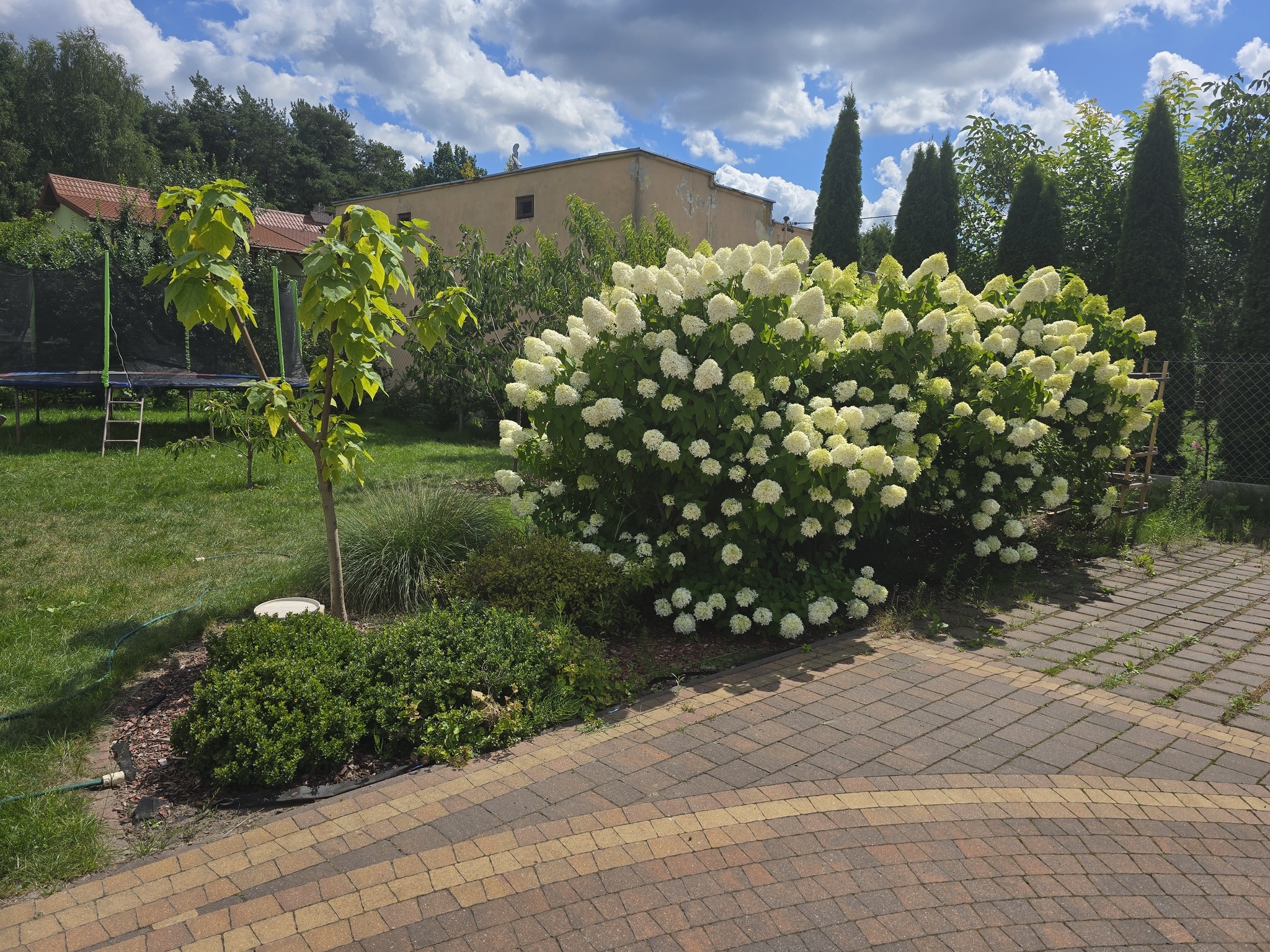 Zdjęcie nieruchomości