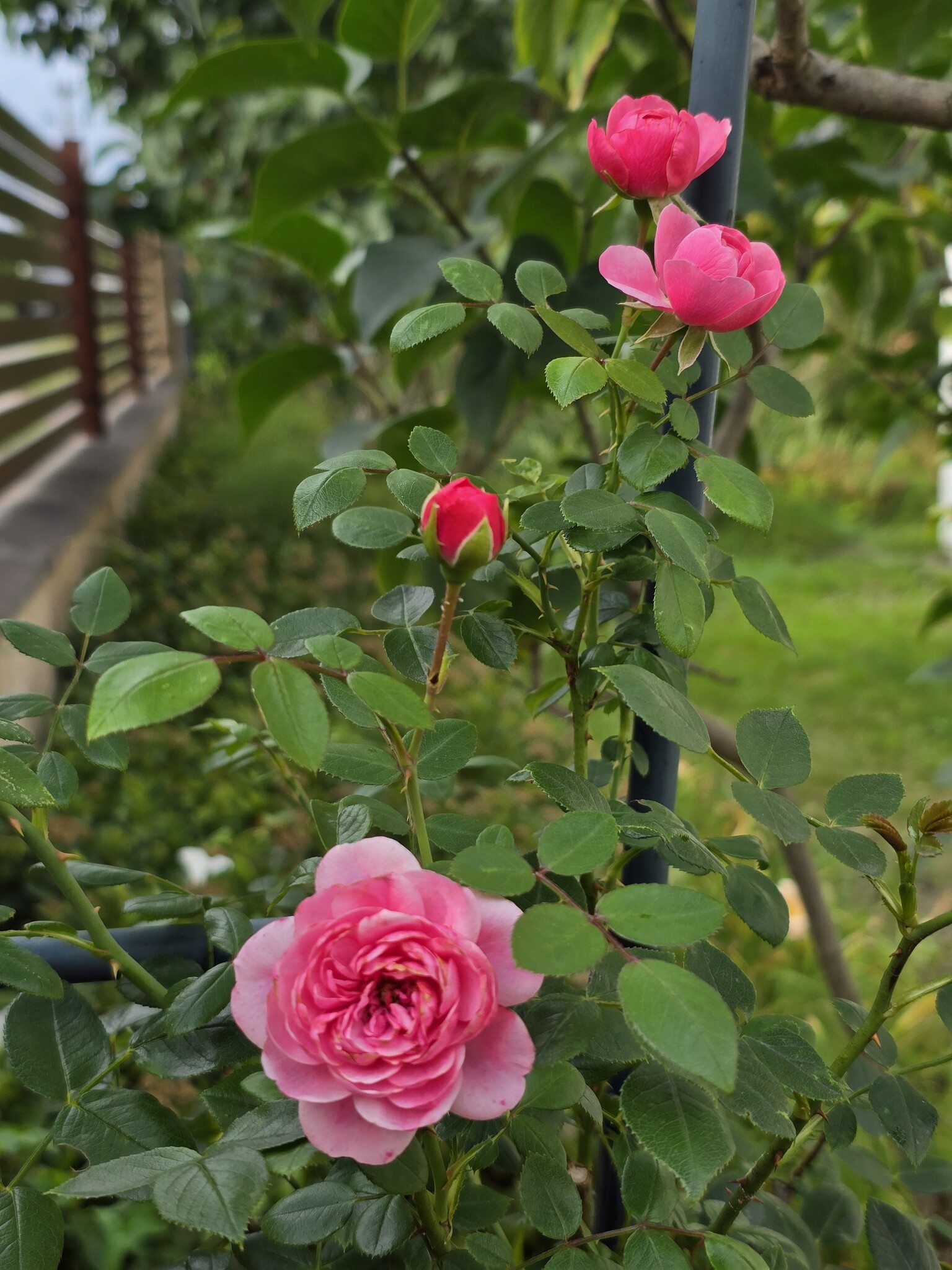 Zdjęcie nieruchomości