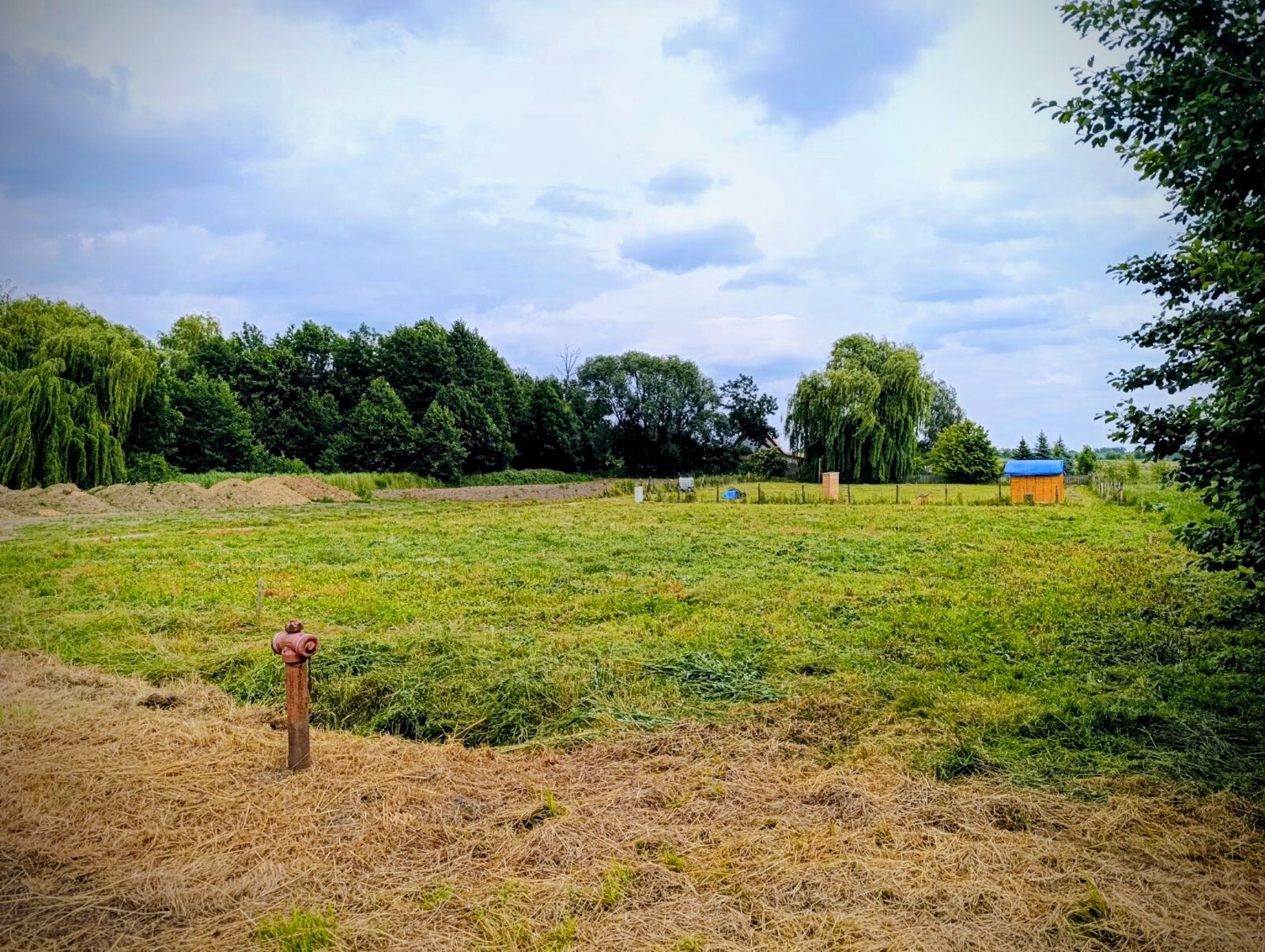 Zdjęcie nieruchomości