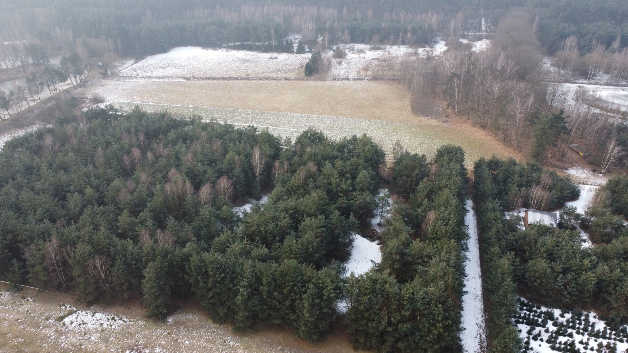 Zdjęcie nieruchomości