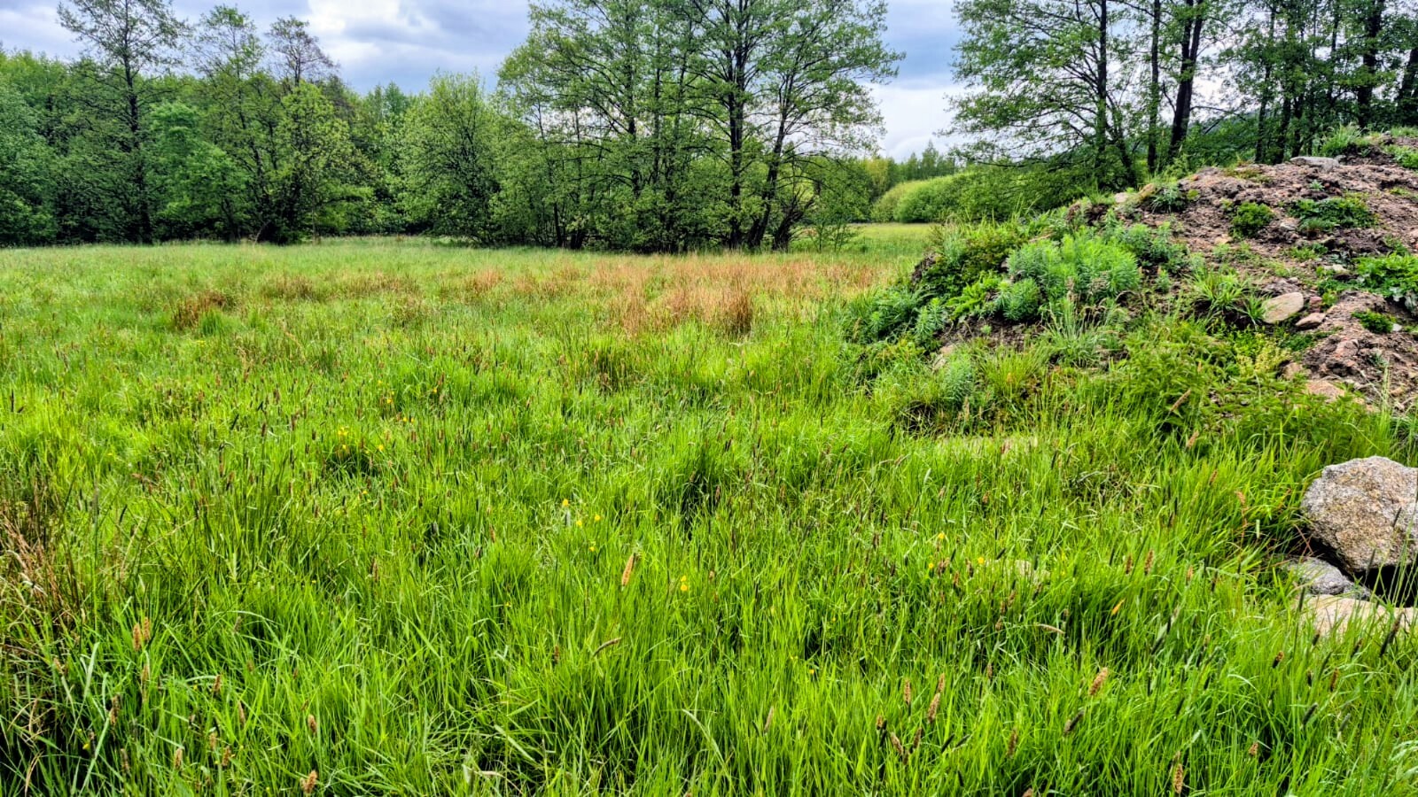 Zdjęcie nieruchomości