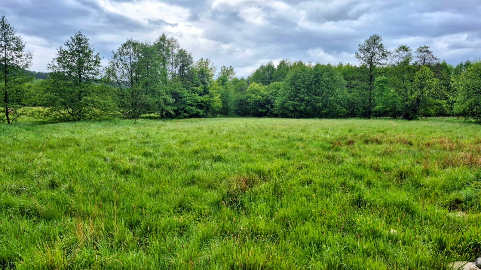 Zdjęcie nieruchomości