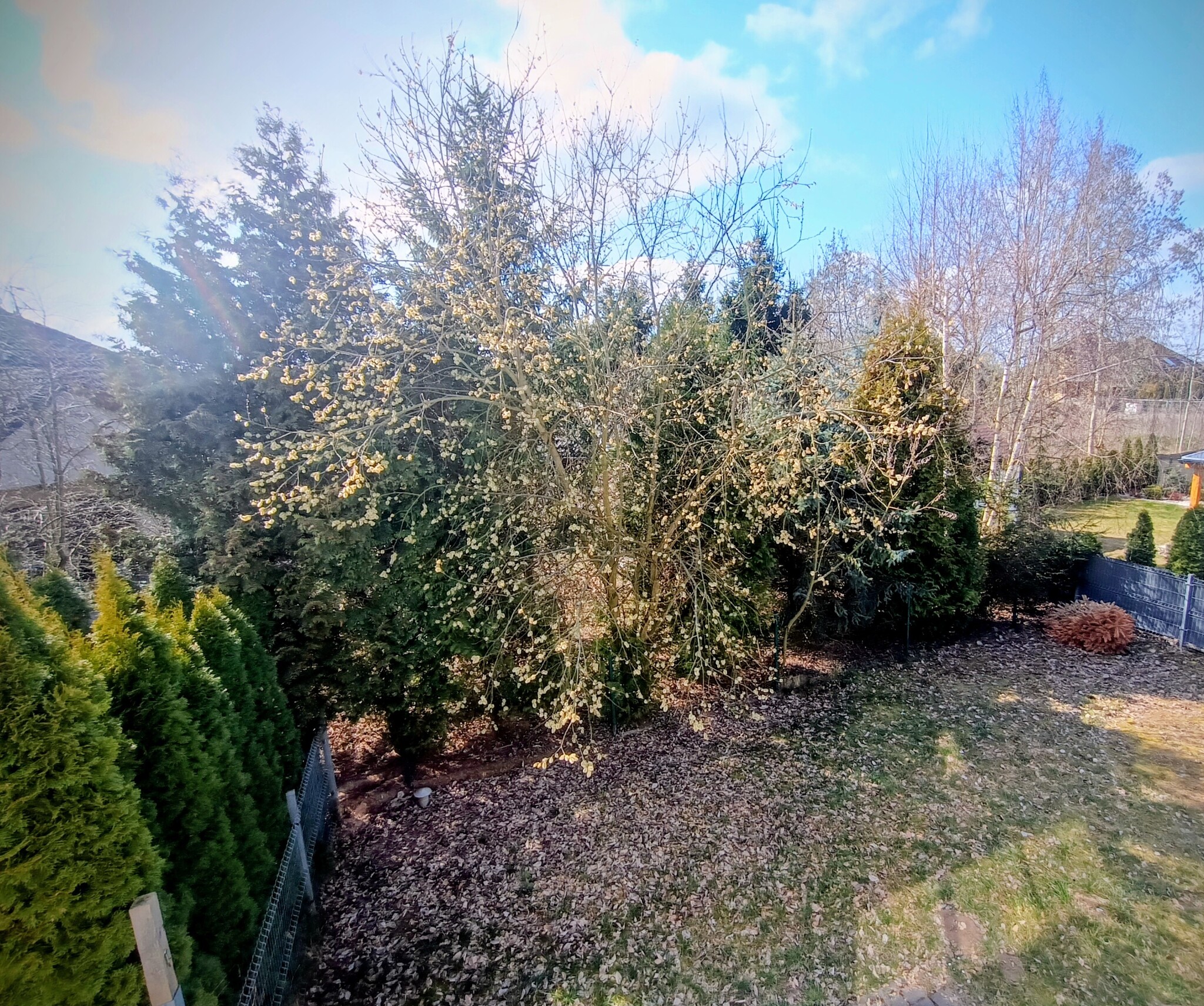 Zdjęcie nieruchomości