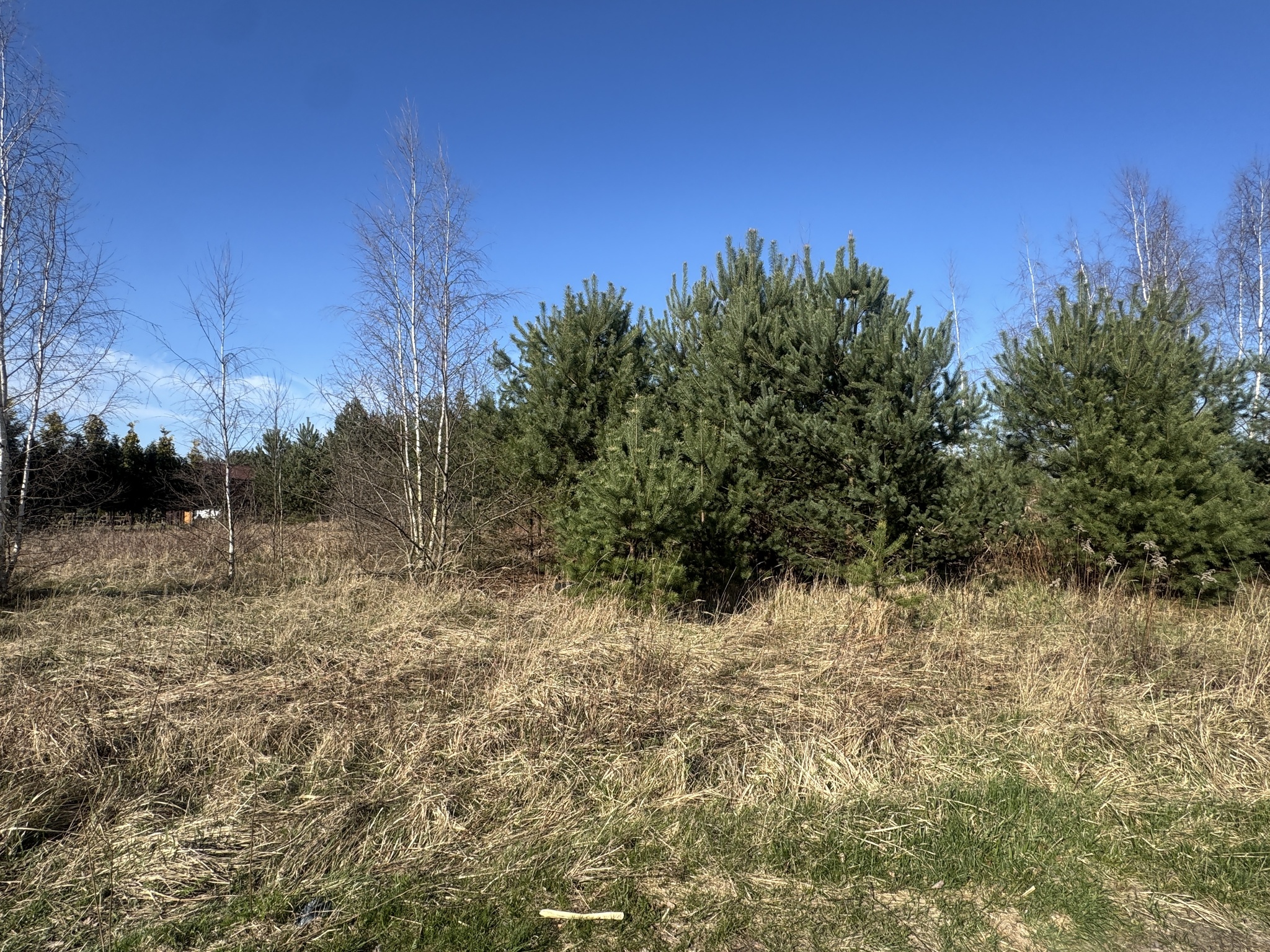 Zdjęcie nieruchomości