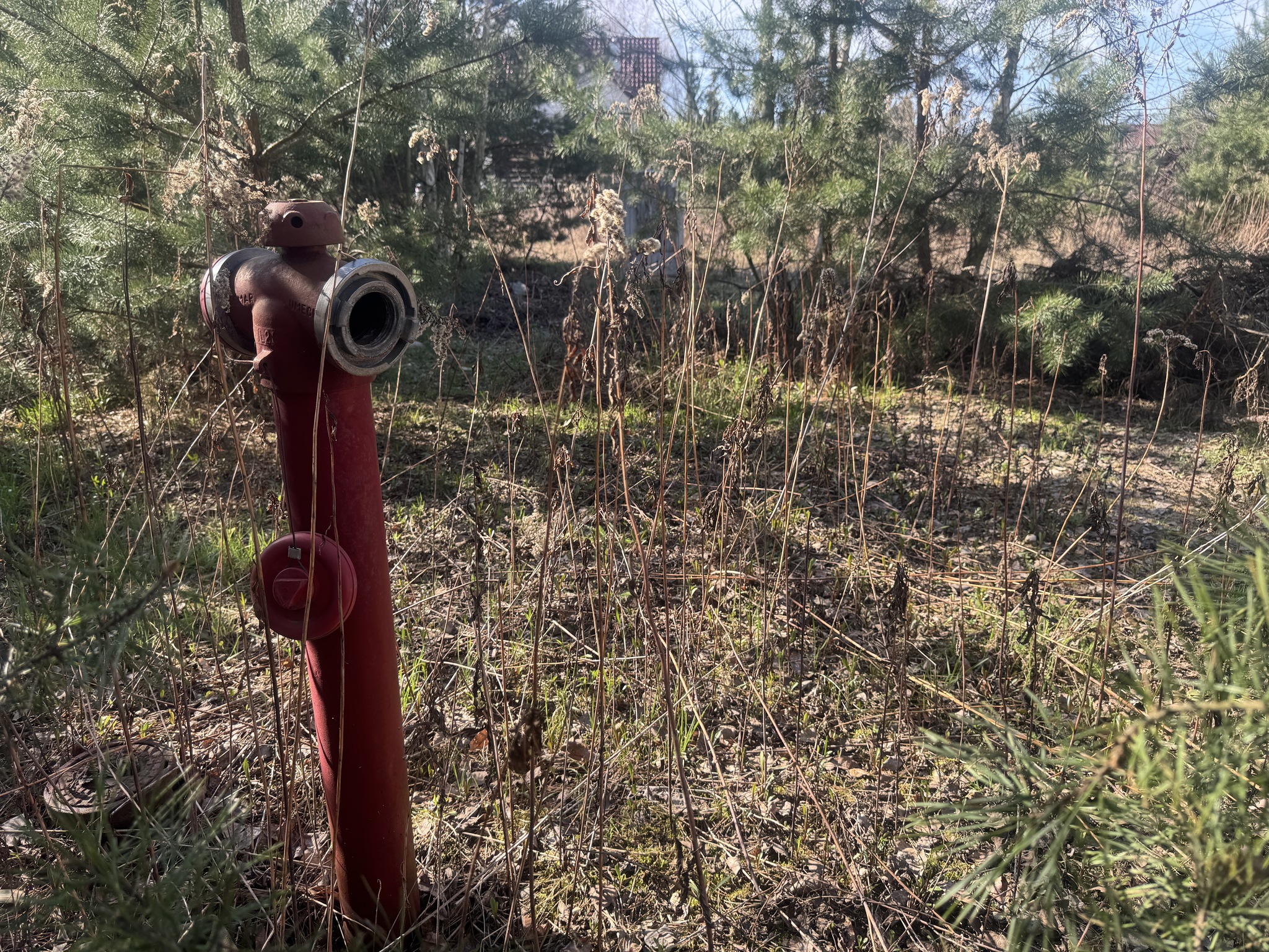 Zdjęcie nieruchomości