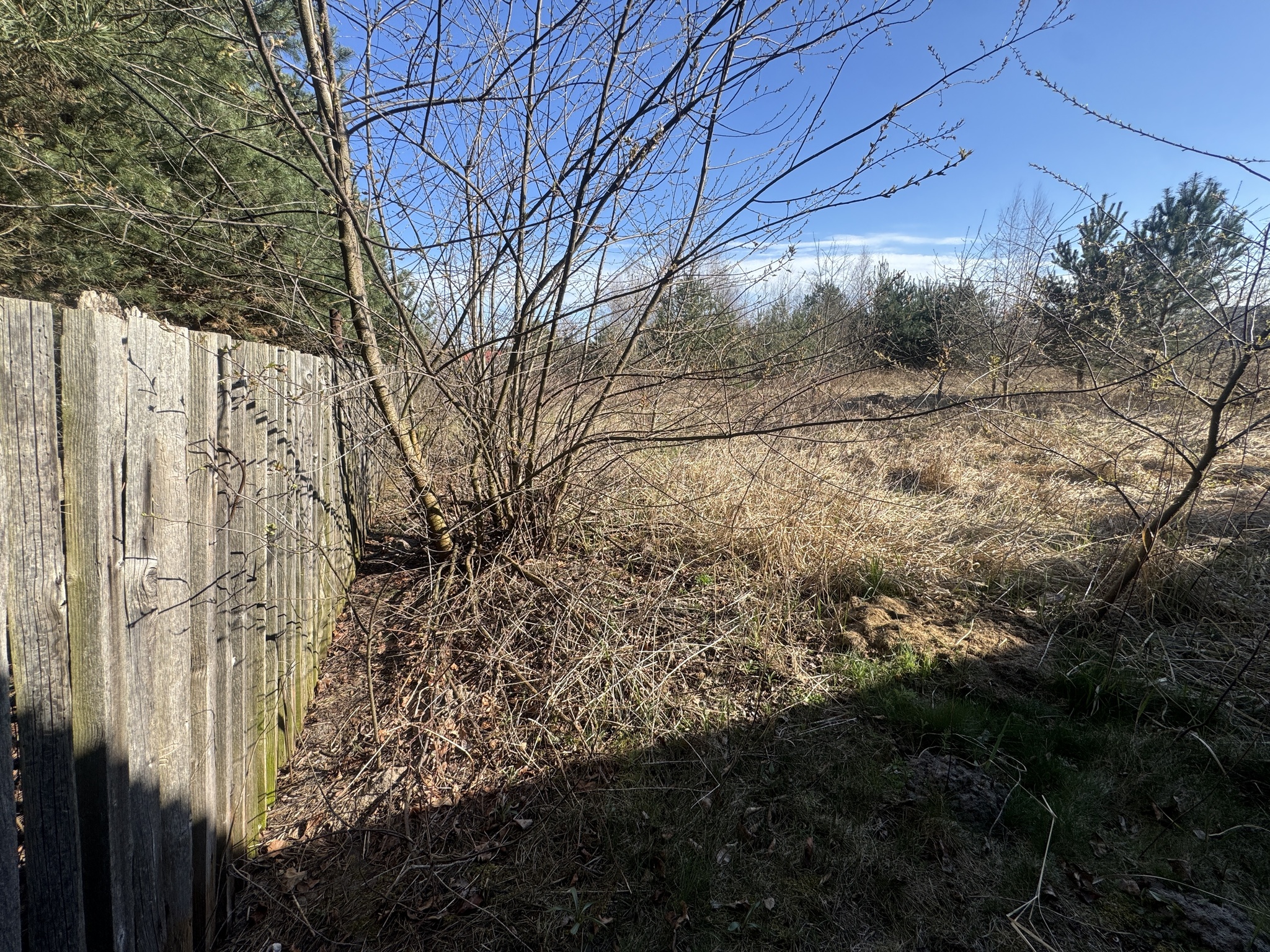 Zdjęcie nieruchomości