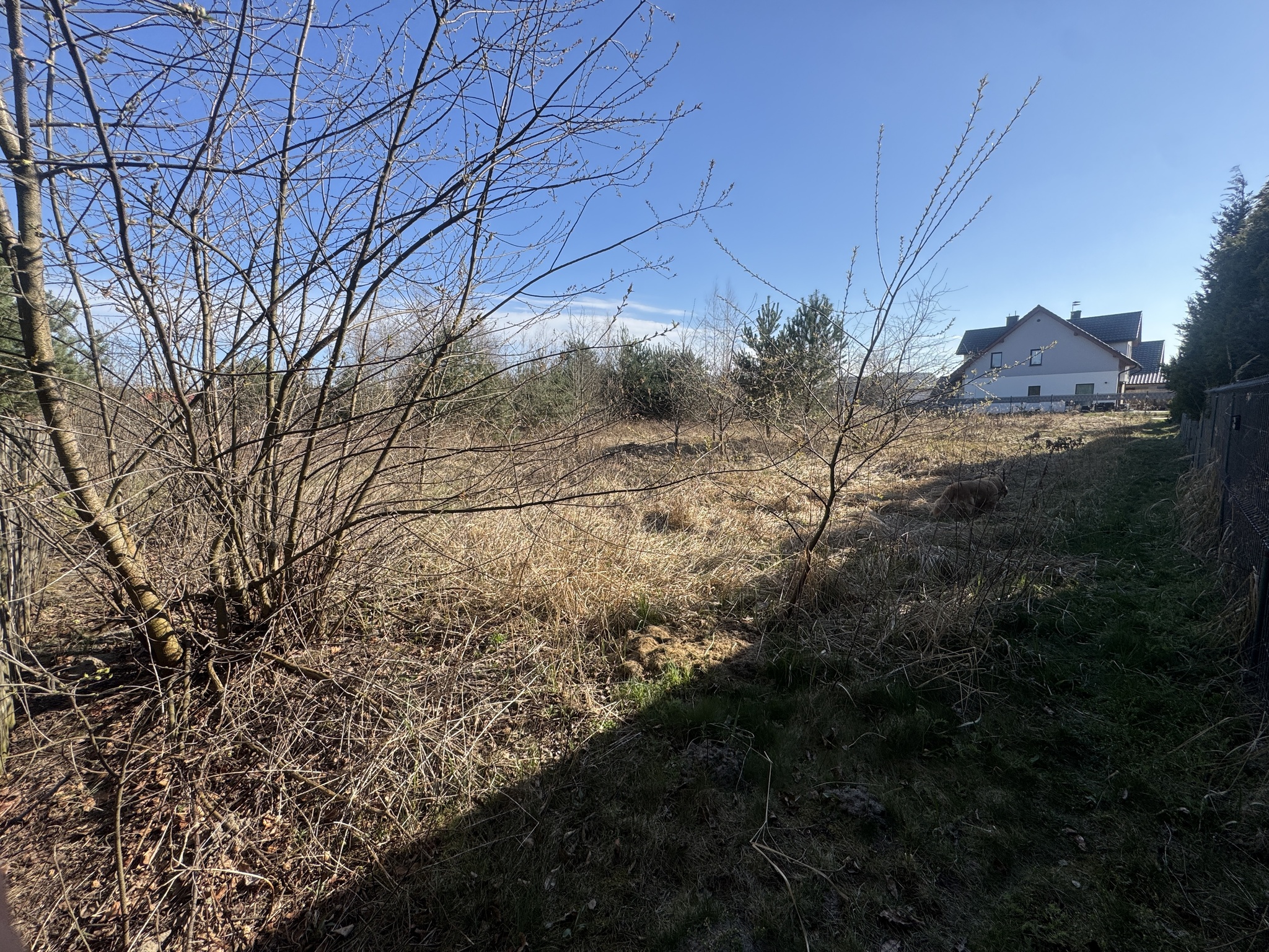 Zdjęcie nieruchomości