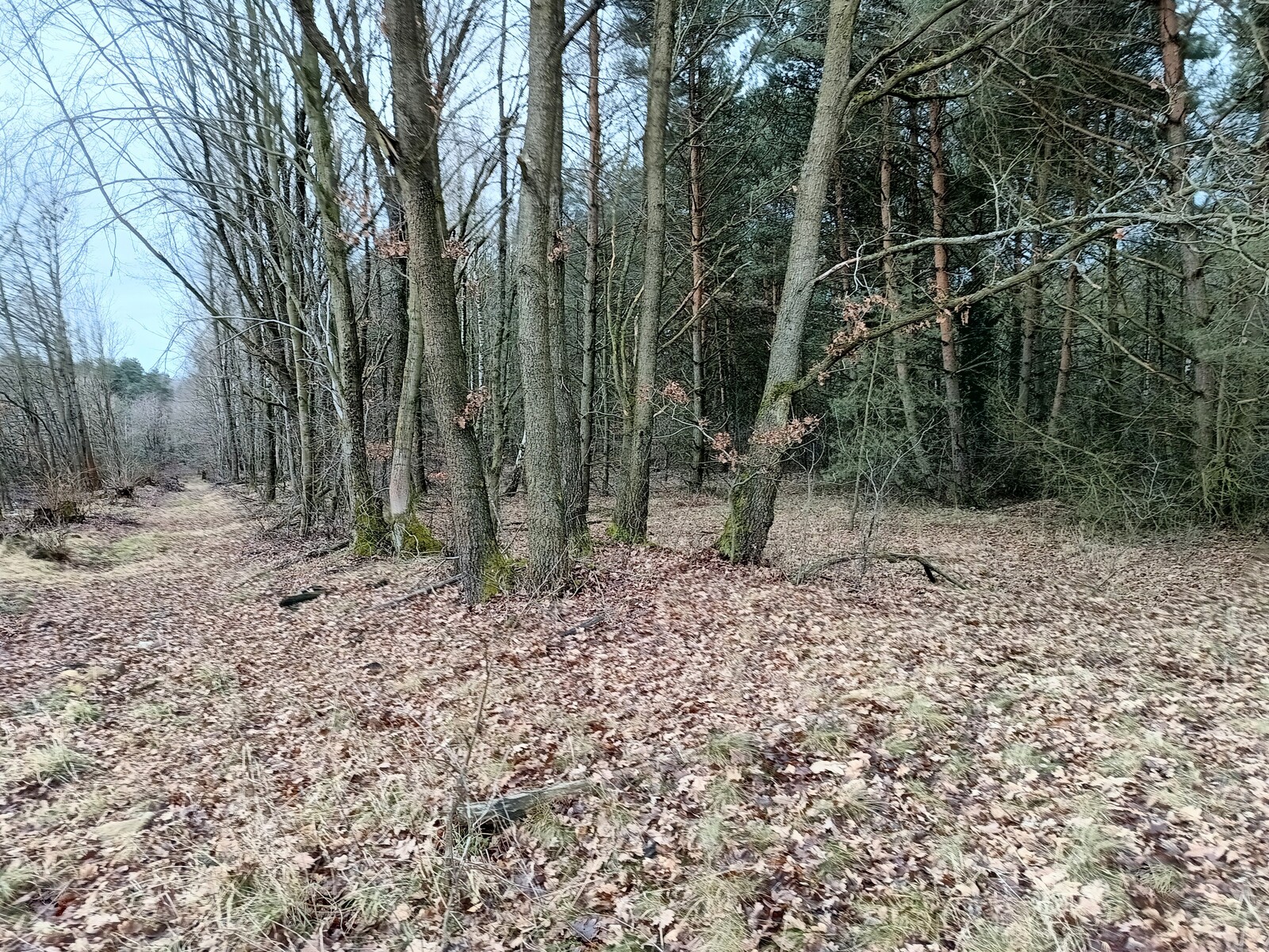 Zdjęcie nieruchomości