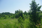 2 ostatnie działki budowlane - Kolonia Mokiny